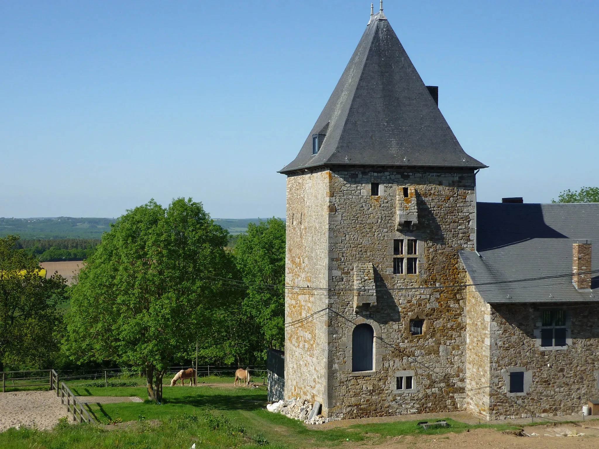 Photo showing: Tour de Javingue-Sevry et le corps de logis y attenant