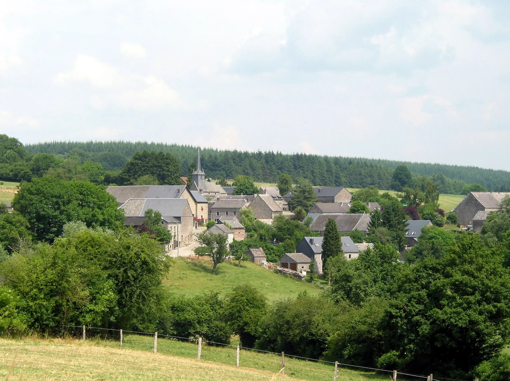 Photo showing: Chardeneux (Belgium), view on the village.