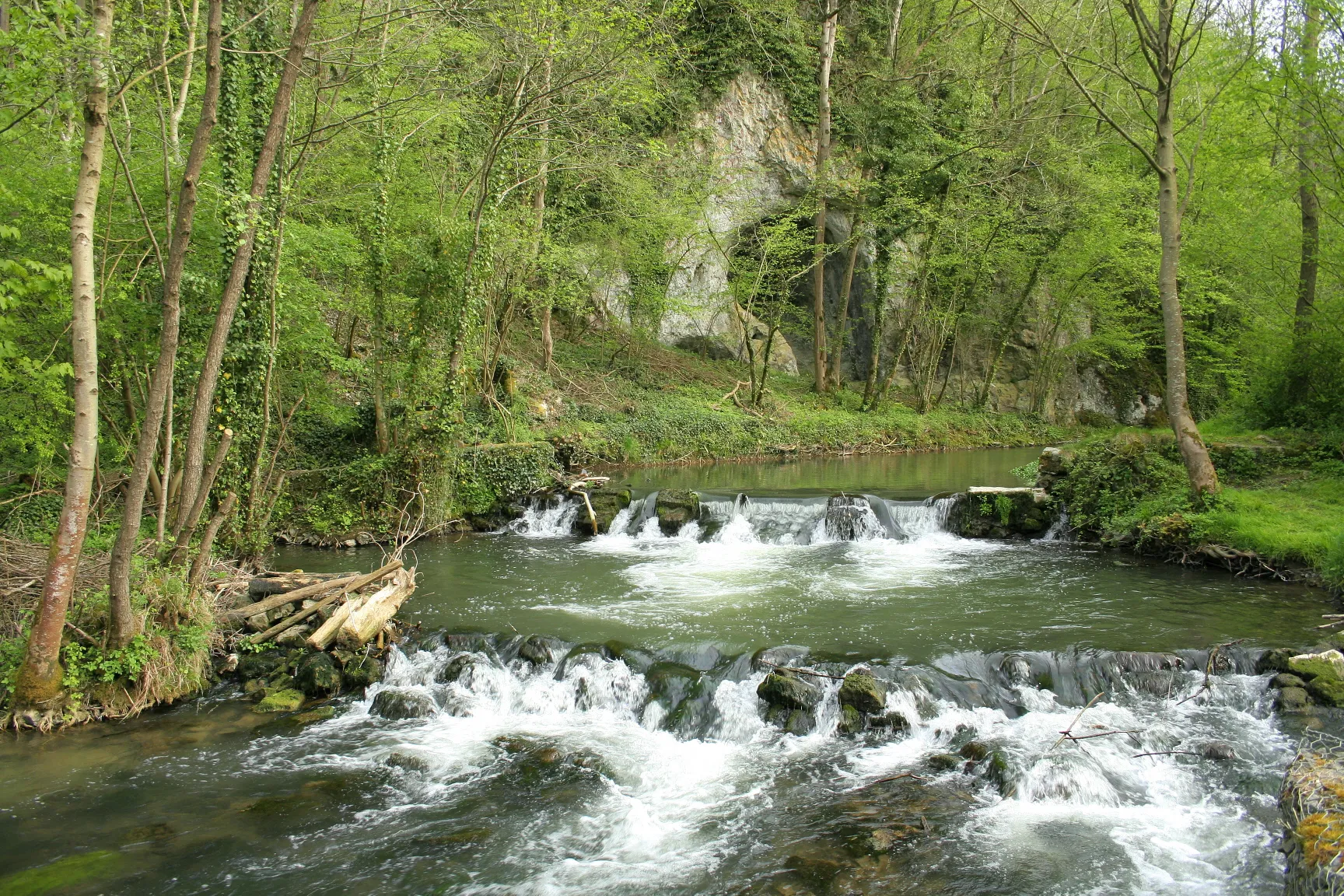 Photo showing: Haut-le-Wastia (Belgium), the Molignée river.