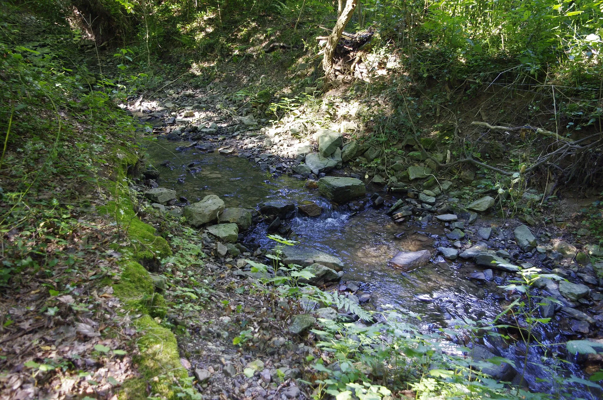 Photo showing: Le ruisseau de Morissart près de Neuville-sous-Huy, Belgique