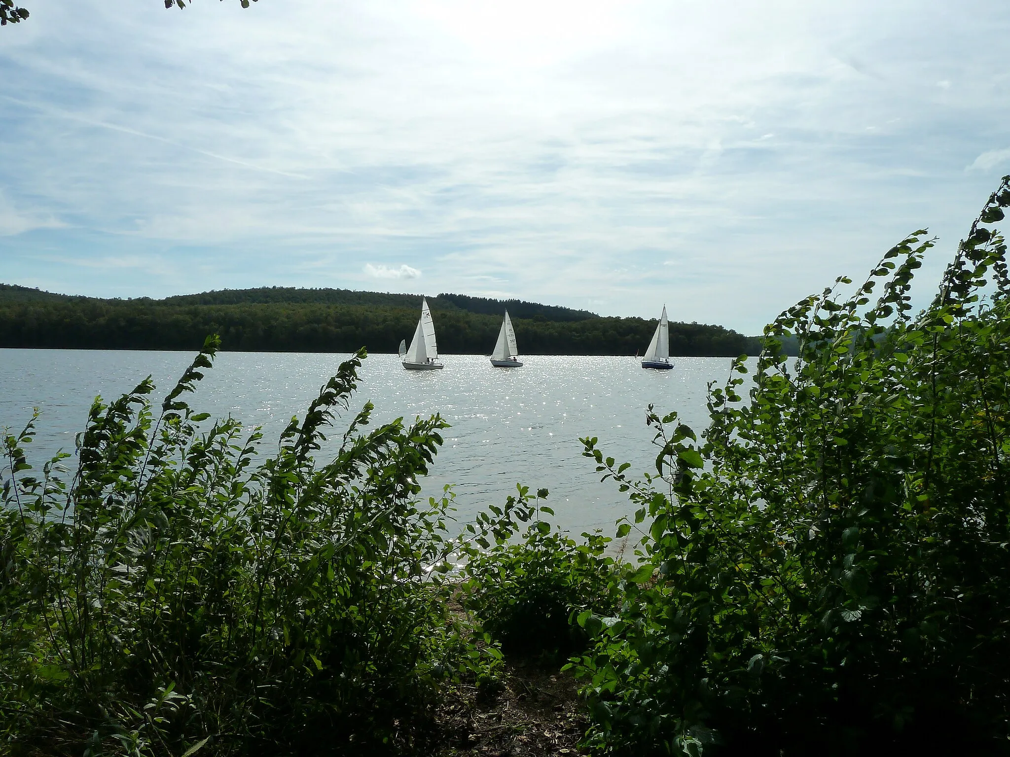 Photo showing: Le lac des Vieilles Forges est un lac de retenue situé sur la commune de Les Mazures dans le département français des Ardennes.