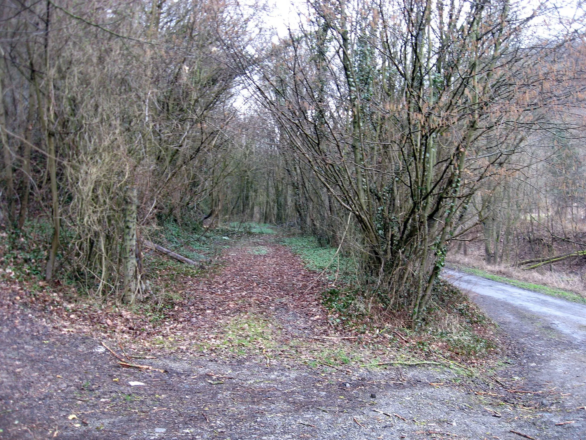 Photo showing: Old vicinal railway overgrown track between Lovegnée and Solières.