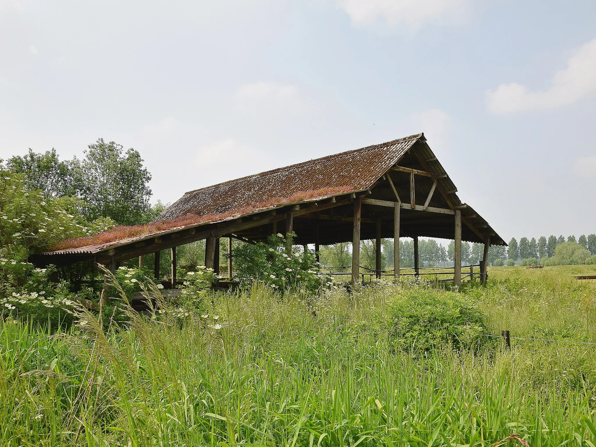 Photo showing: Barn