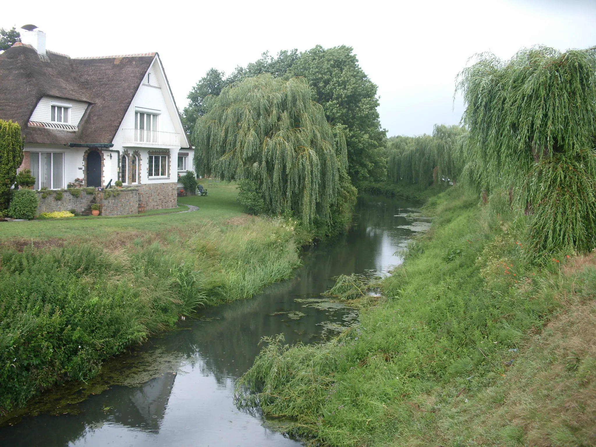 Photo showing: De Langelede - vanop de brug in de Walderdonkstraat - Wachtebeke - Oost-Vlaanderen - België