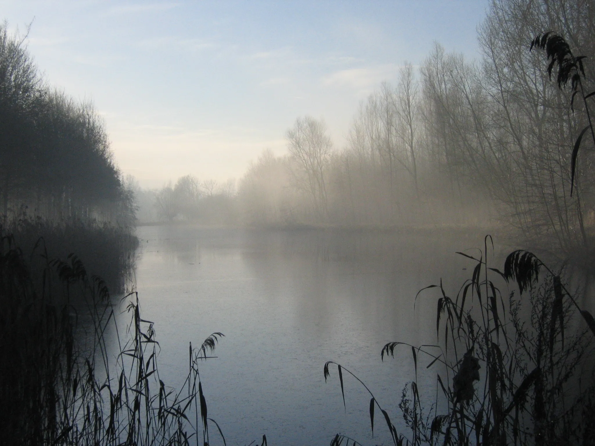 Photo showing: Oude Scheldearm aan de Kaaihoeve te Meilegem