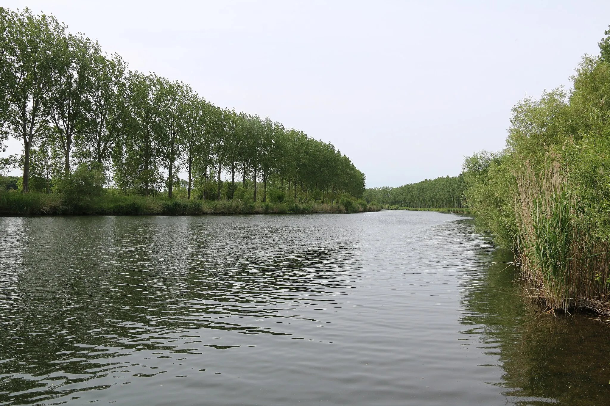 Photo showing: Scheldevallei Meilegem