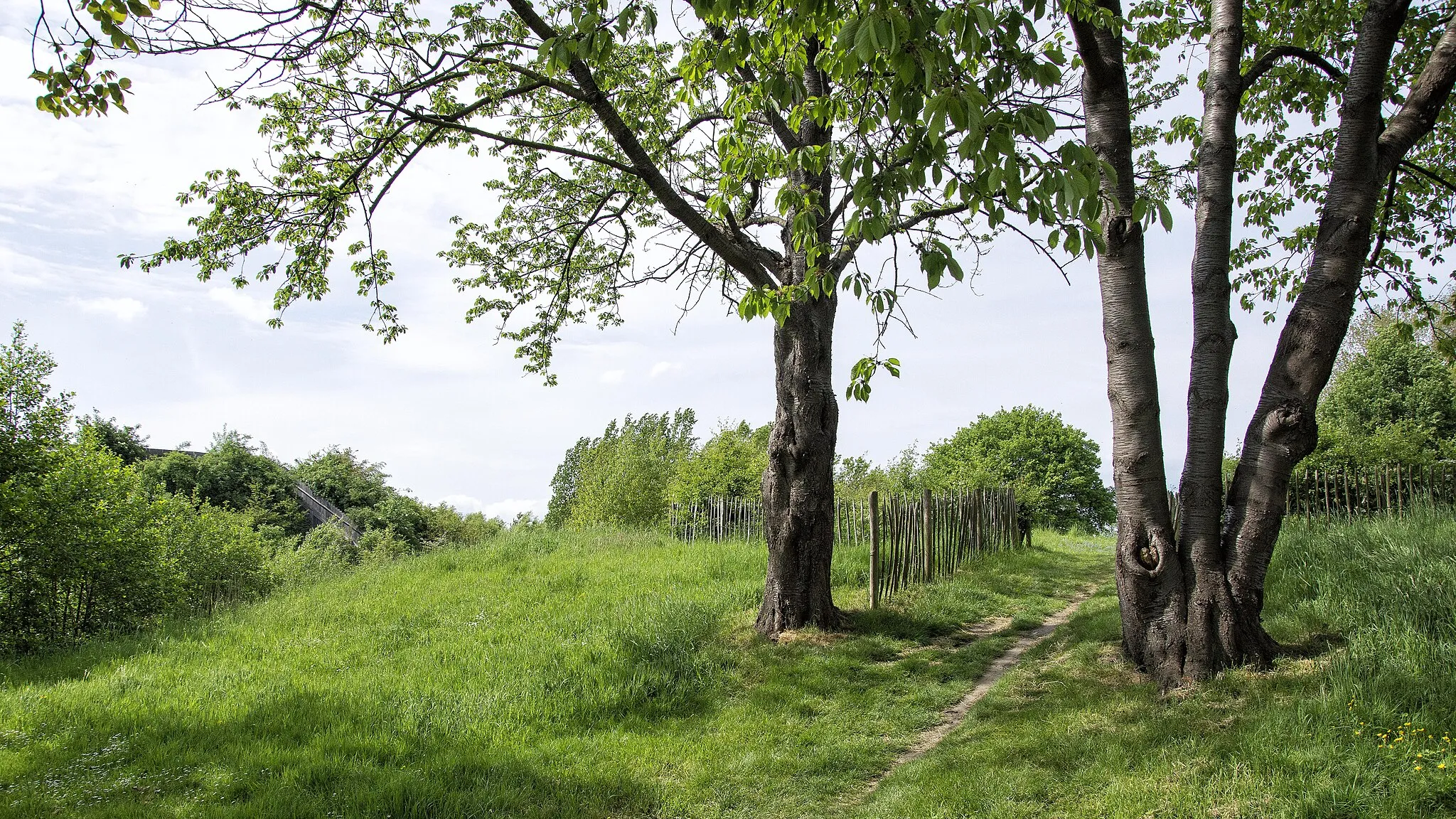 Photo showing: Het mottekasteel Hoge Wal te Ertvelde, België - het neerhof en het opperhof