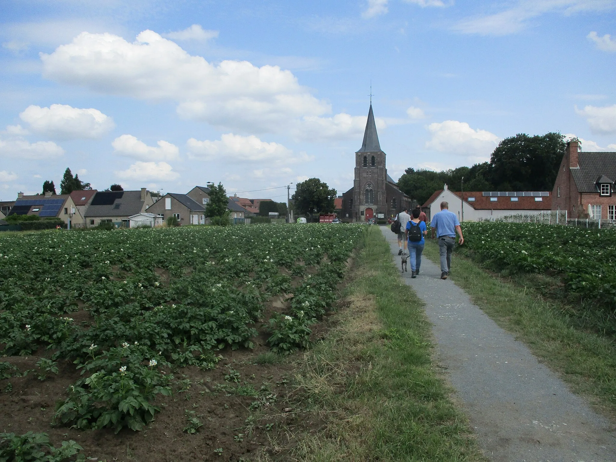Photo showing: De Sint-Aldegondekerk - Burg. Maenhautstraat - Lemberge - Merelbeke - Oost-Vlaanderen - België.