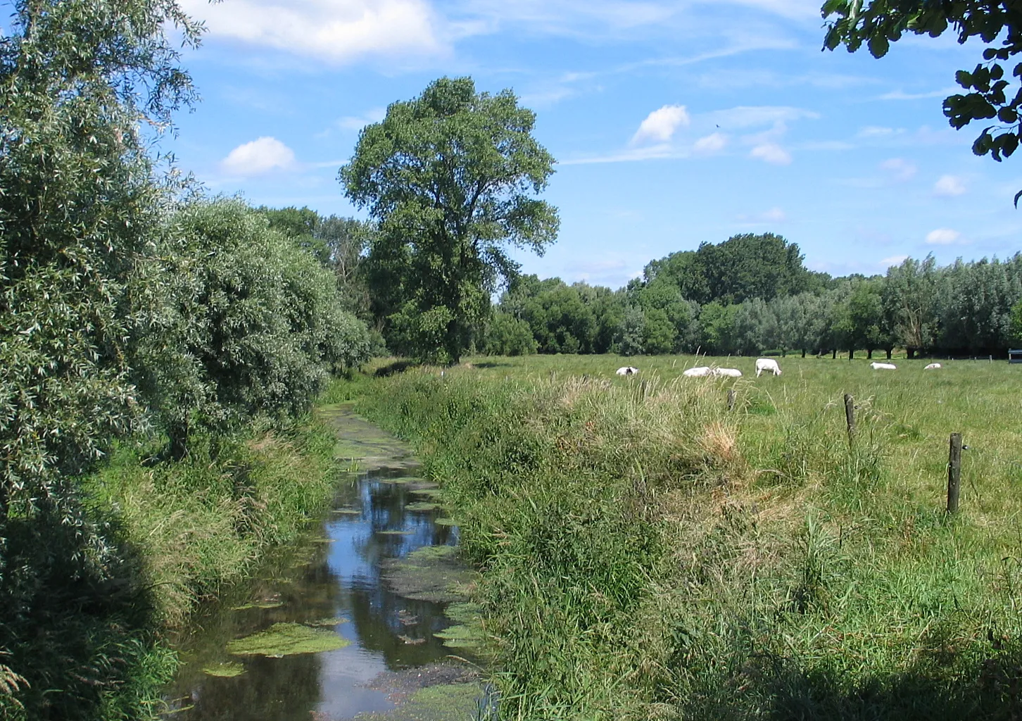 Photo showing: Oude Kale in Vinderhoute, België