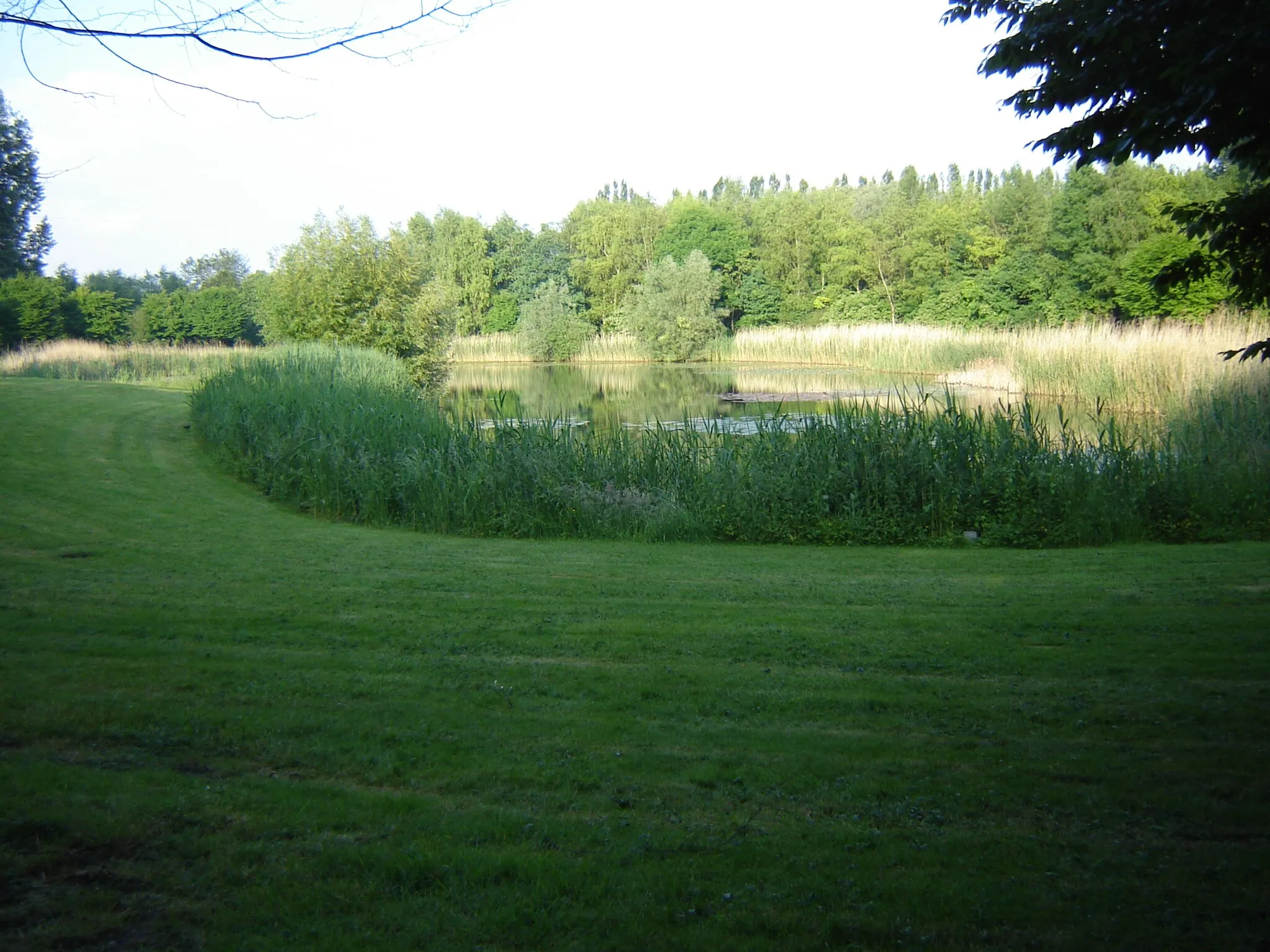 Photo showing: Liedermeerspark in Merelbeke. Merelbeke, East Flanders, Belgium