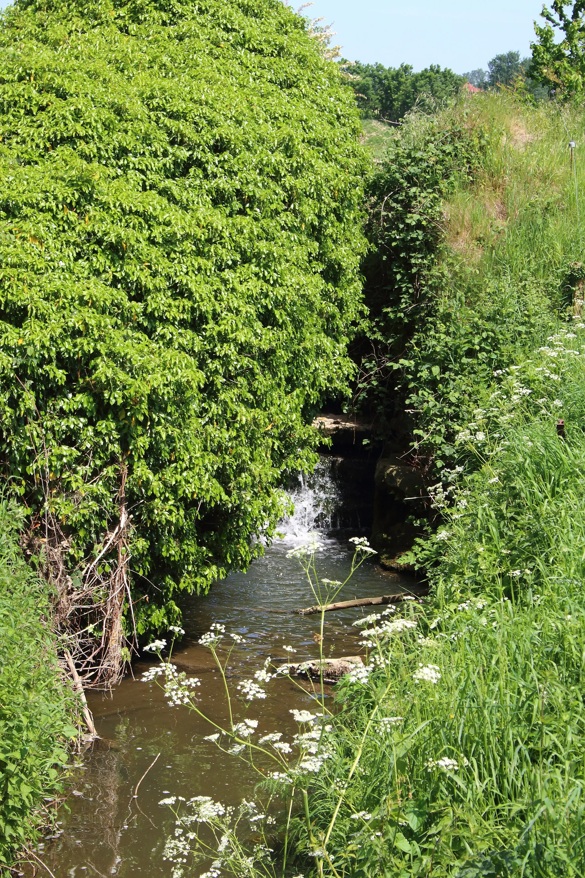 Photo showing: overblijfselen Van Themsches molen, Velzeke-Ruddershove, Zottegem, Vlaanderen, België