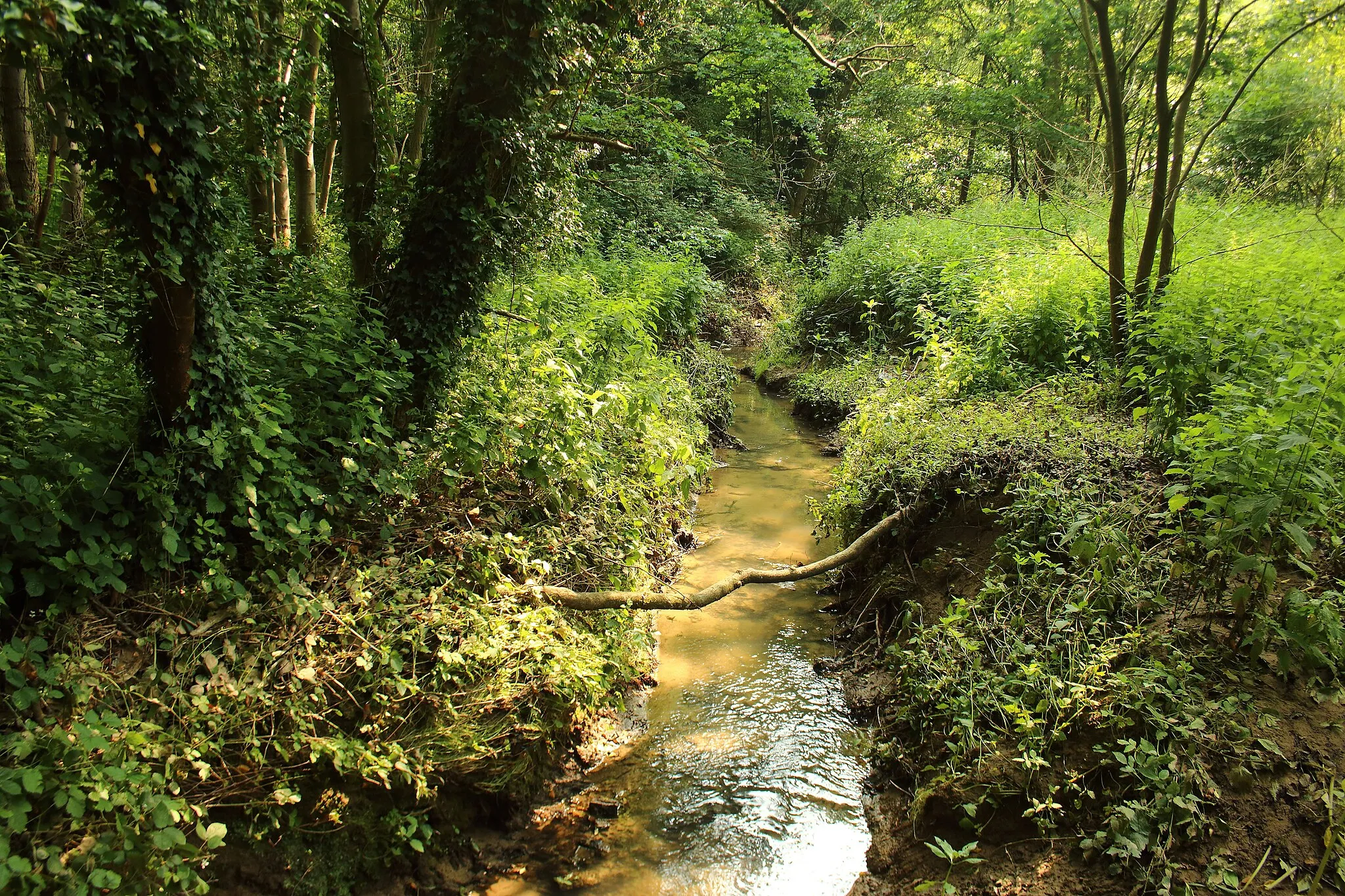 Photo showing: natuurgebied Munkbosbeekvallei, Oost-Vlaanderen, België