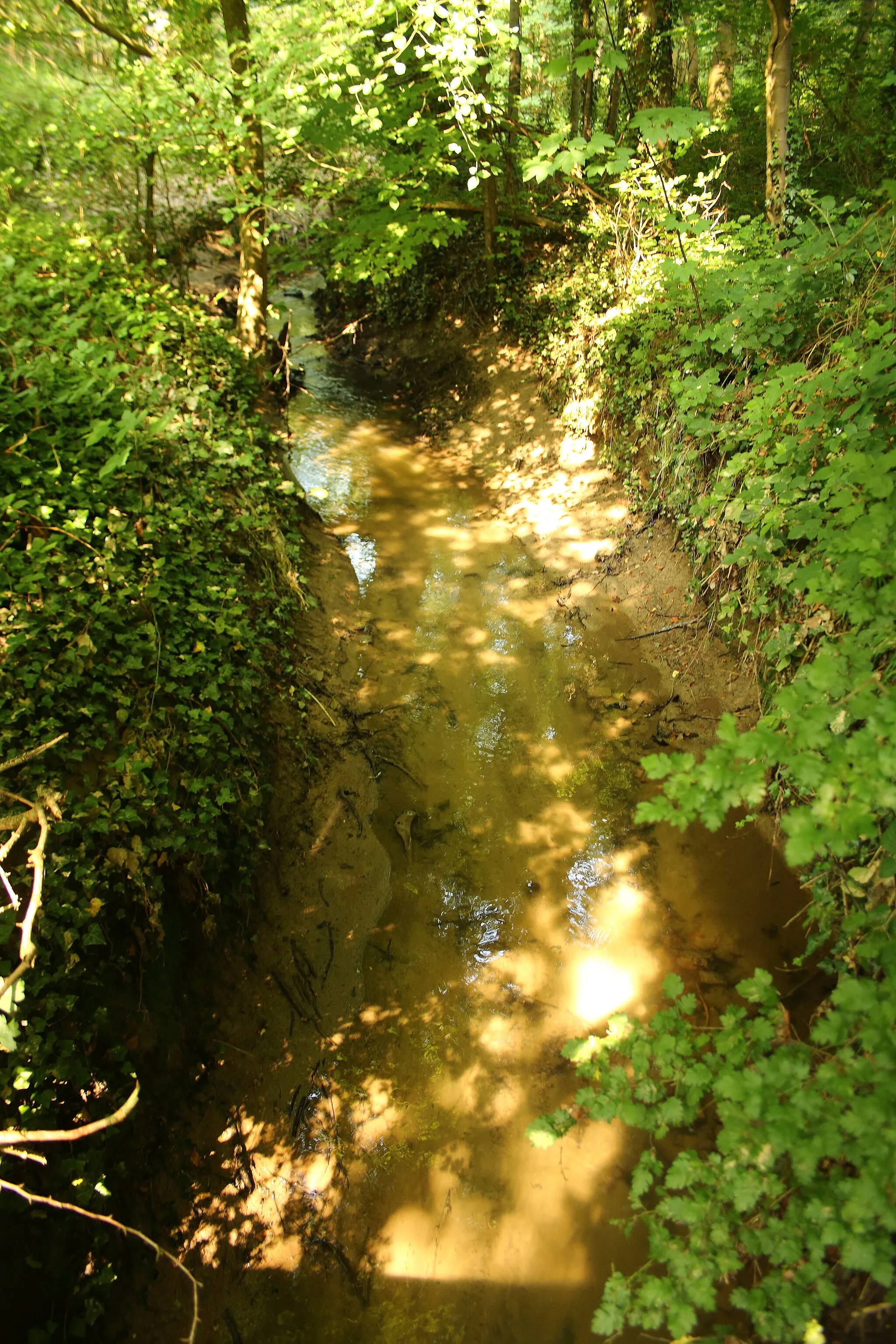 Photo showing: natuurgebied Munkbosbeekvallei, Oost-Vlaanderen, België