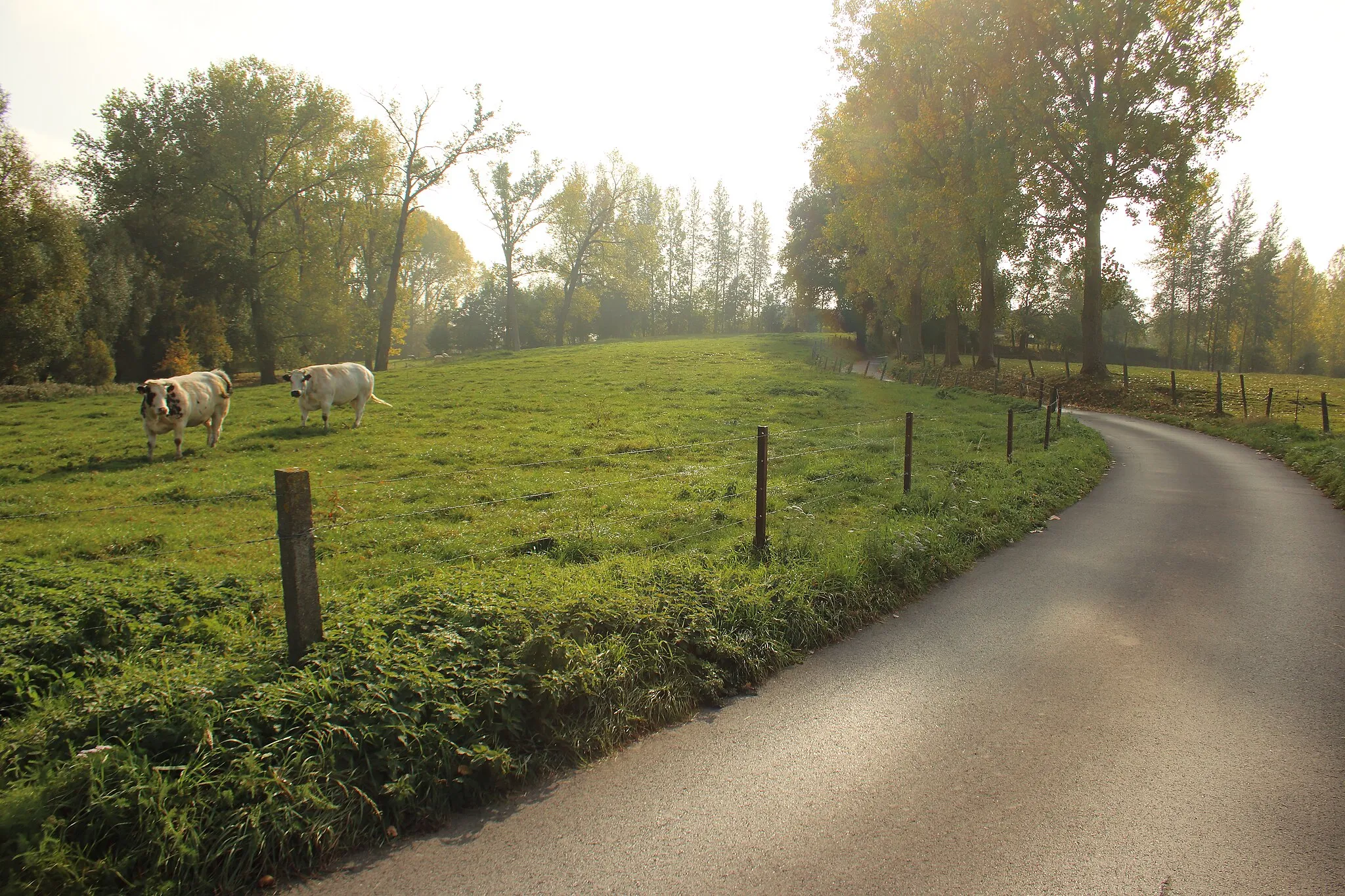 Photo showing: Engelstraat, Erwetegem, Zottegem, Vlaanderen, België