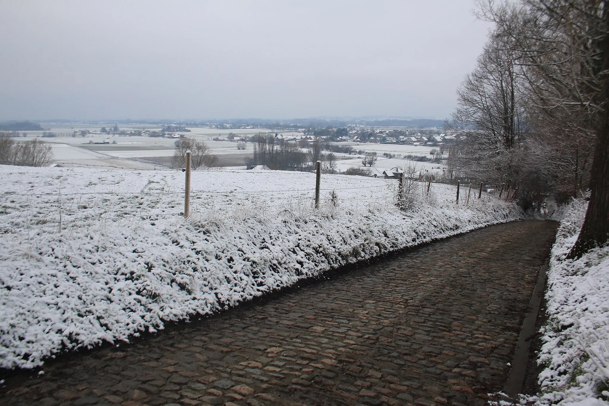 Photo showing: Koppenberg, Vlaamse Ardennen, Melden, Oudenaarde, Vlaanderen, België