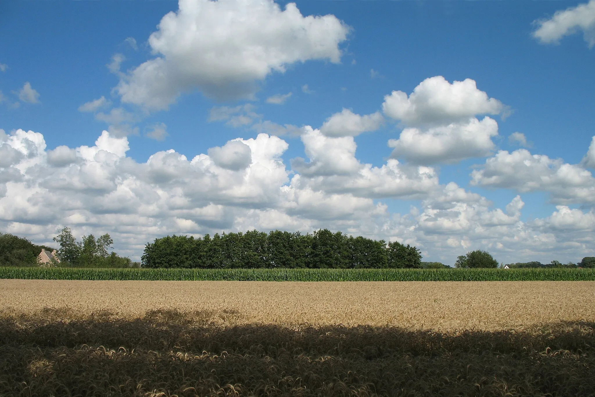 Photo showing: Oedelem (Province of West-Flanders, Belgium): the countryside east of Bruges