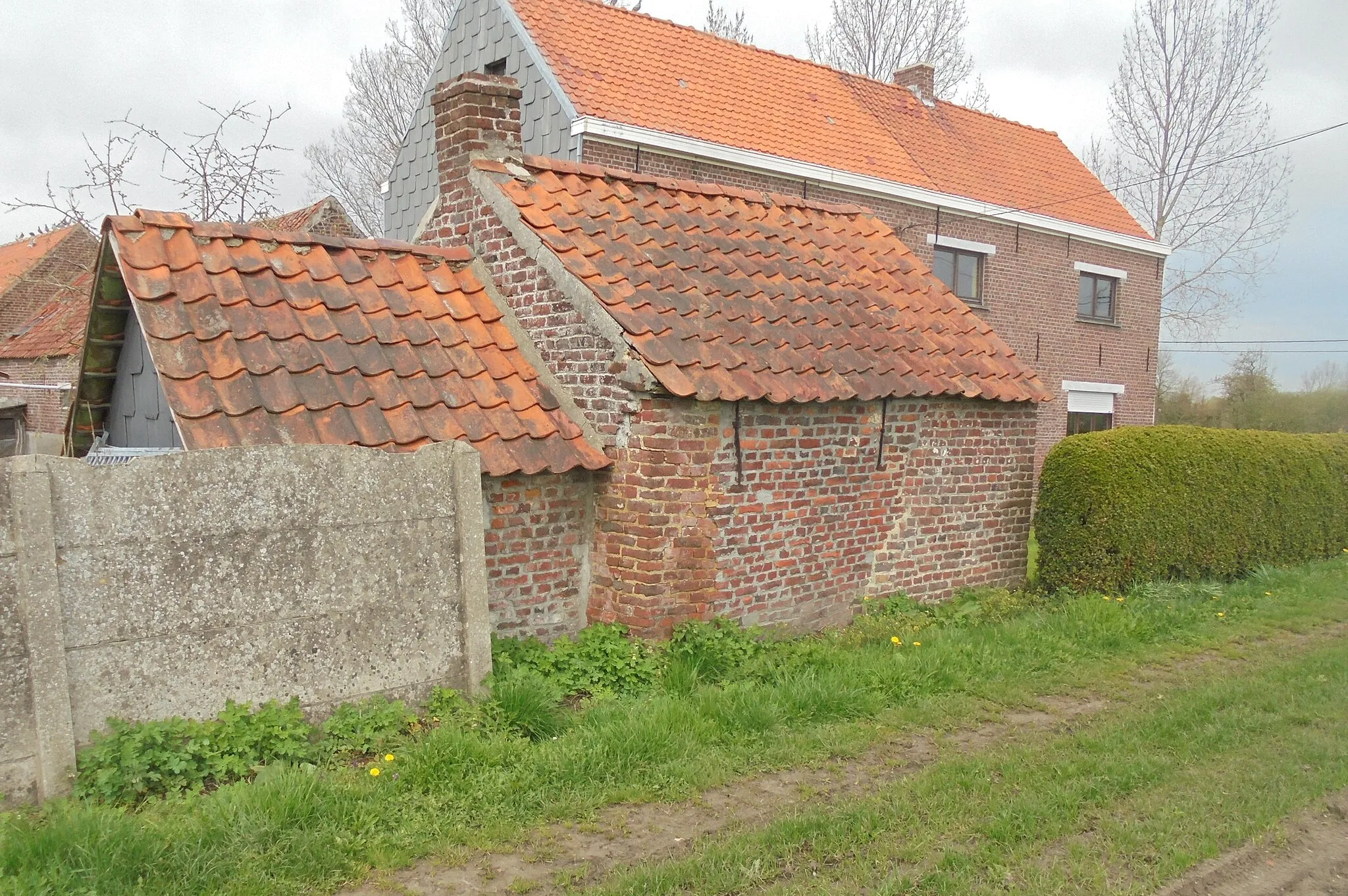 Photo showing: Bakhuis met buxushaag - Knutsegemstraat (hoek met Buysenslos) - Strijpen - Zottegem - Oost-Vlaanderen - België