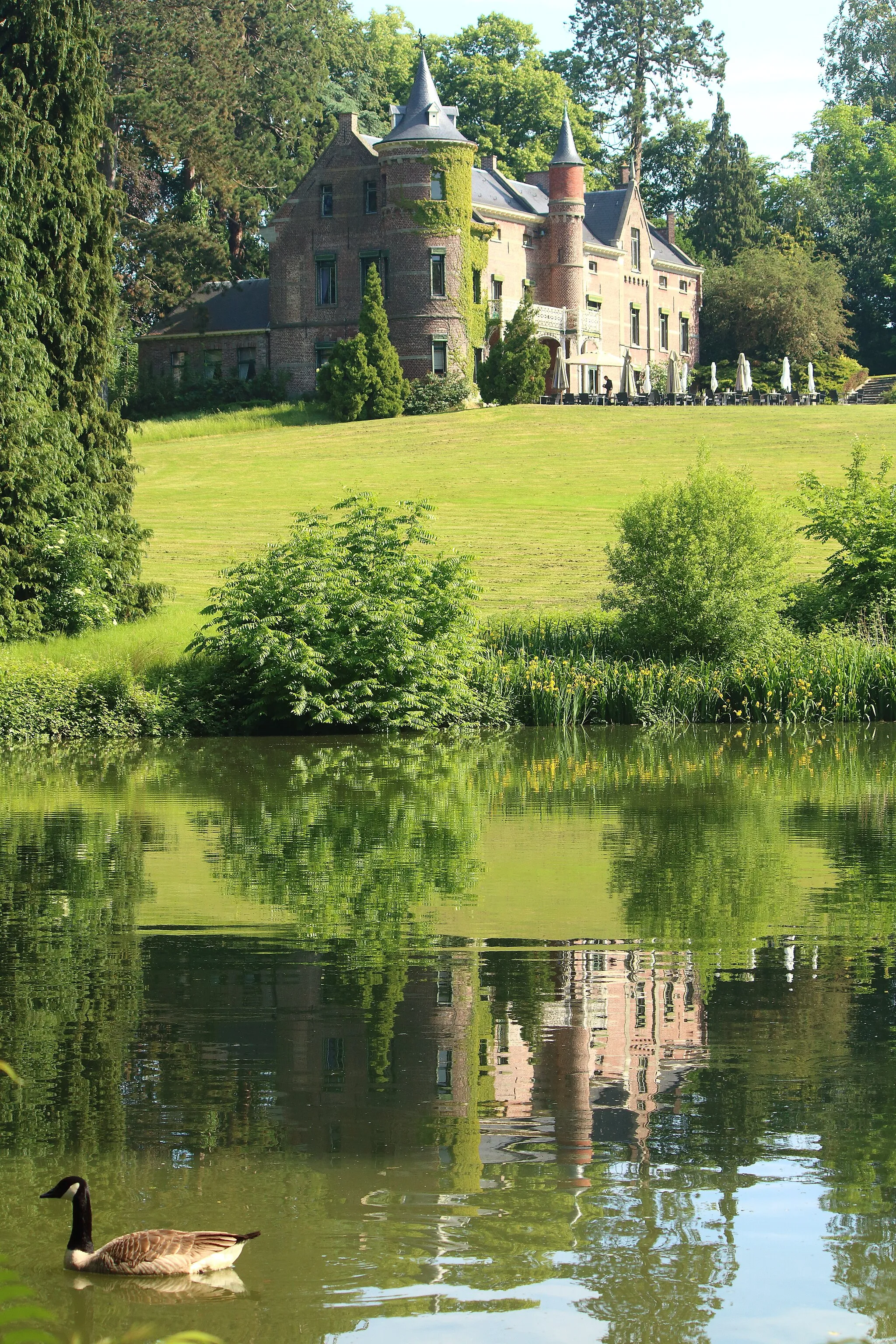 Photo showing: Domein Breivelde, Grotenberge, Zottegem, Vlaanderen, België