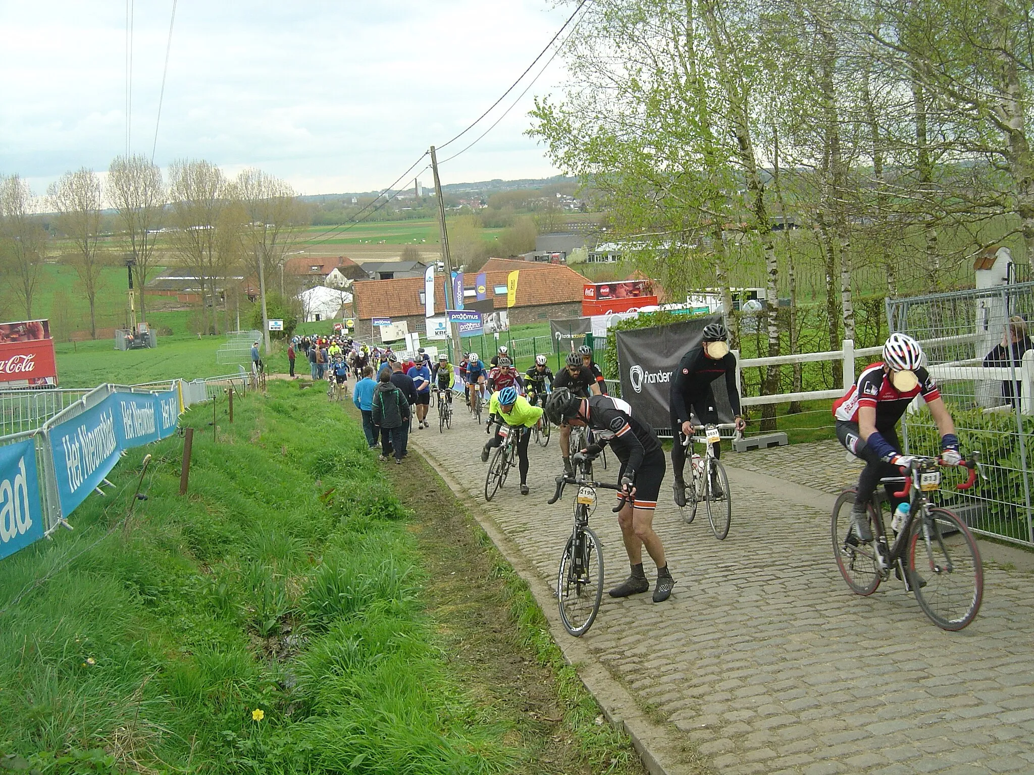 Photo showing: Tour des Flandres cyclo 2017- Ascension du Paterberg, dernière côte du parcours