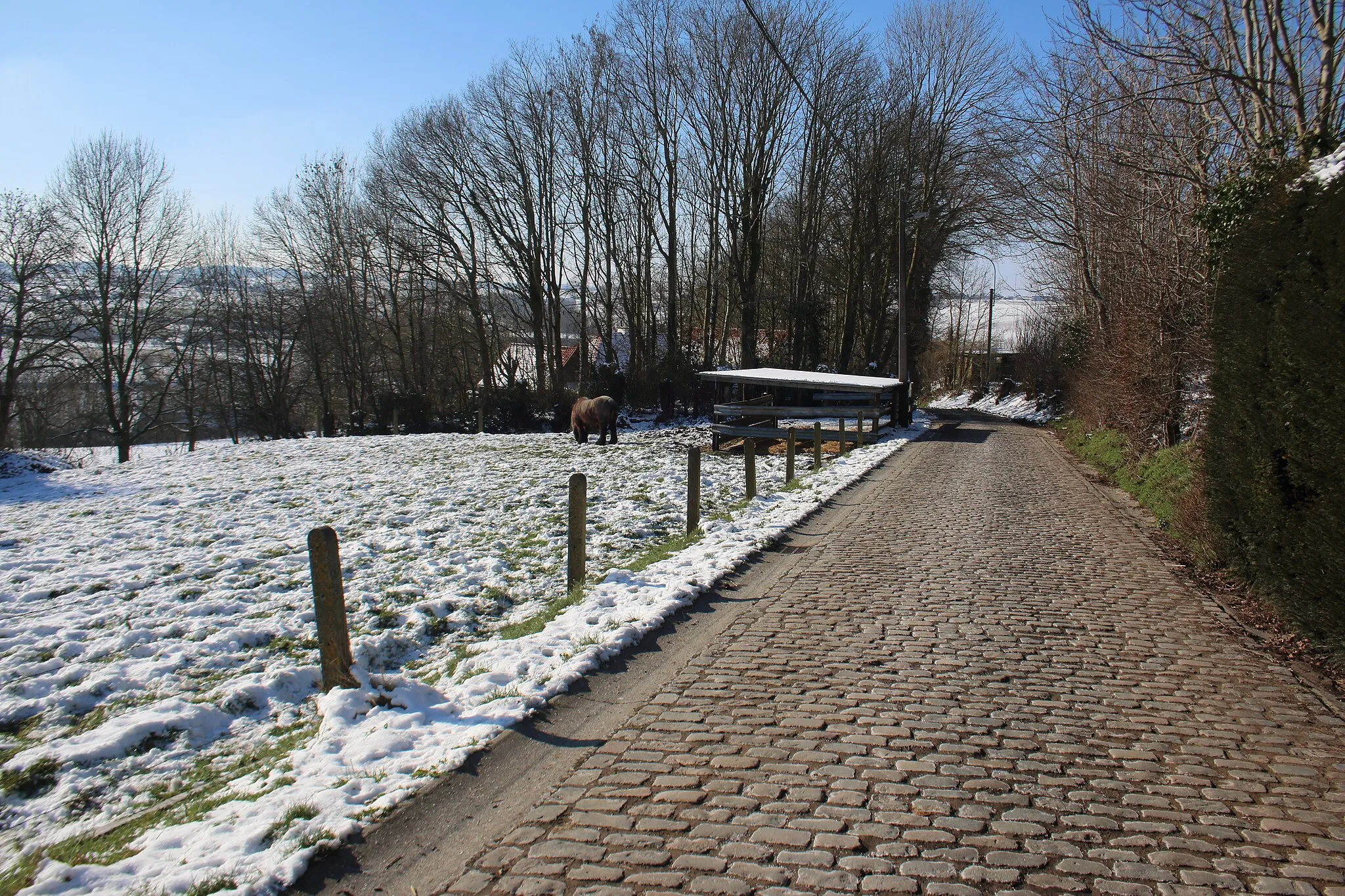 Photo showing: Taaienberg, Etikhove, Maarkedal, Vlaamse Ardennen, Vlaanderen, België