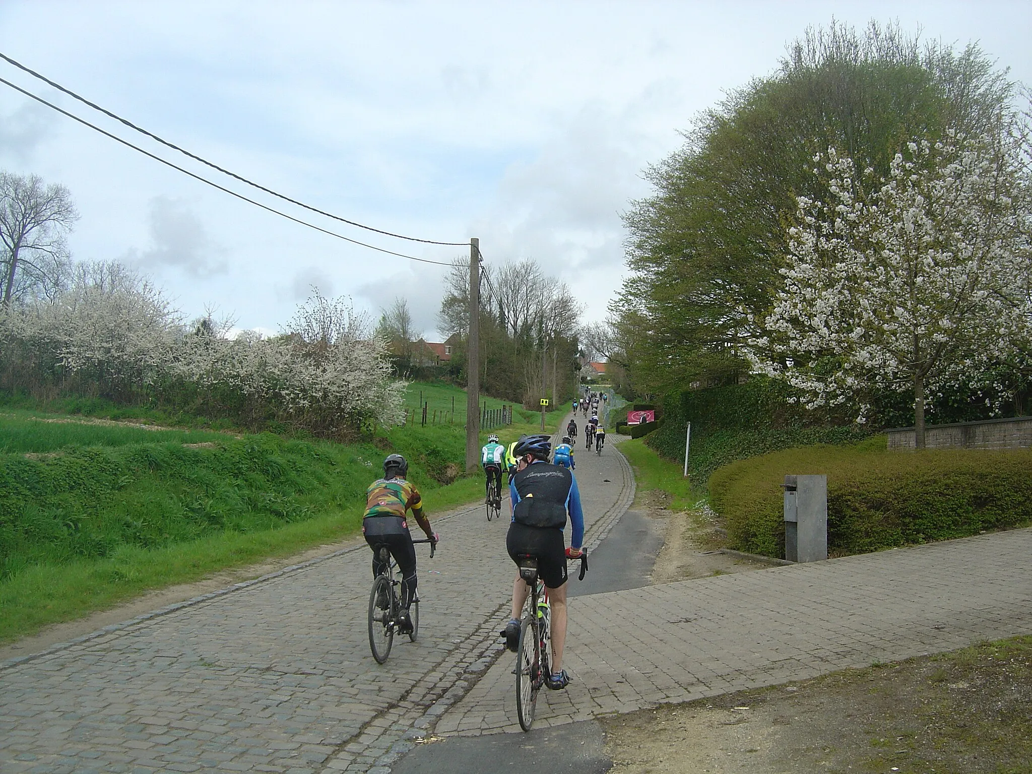 Photo showing: Ascension de l'Eikenberg lors du Tour des Flandres cyclo 2017