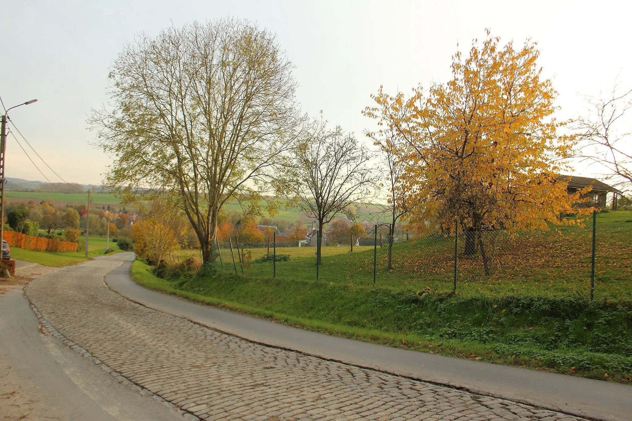 Photo showing: Eikenberg, Maarkedal, Vlaanderen, België