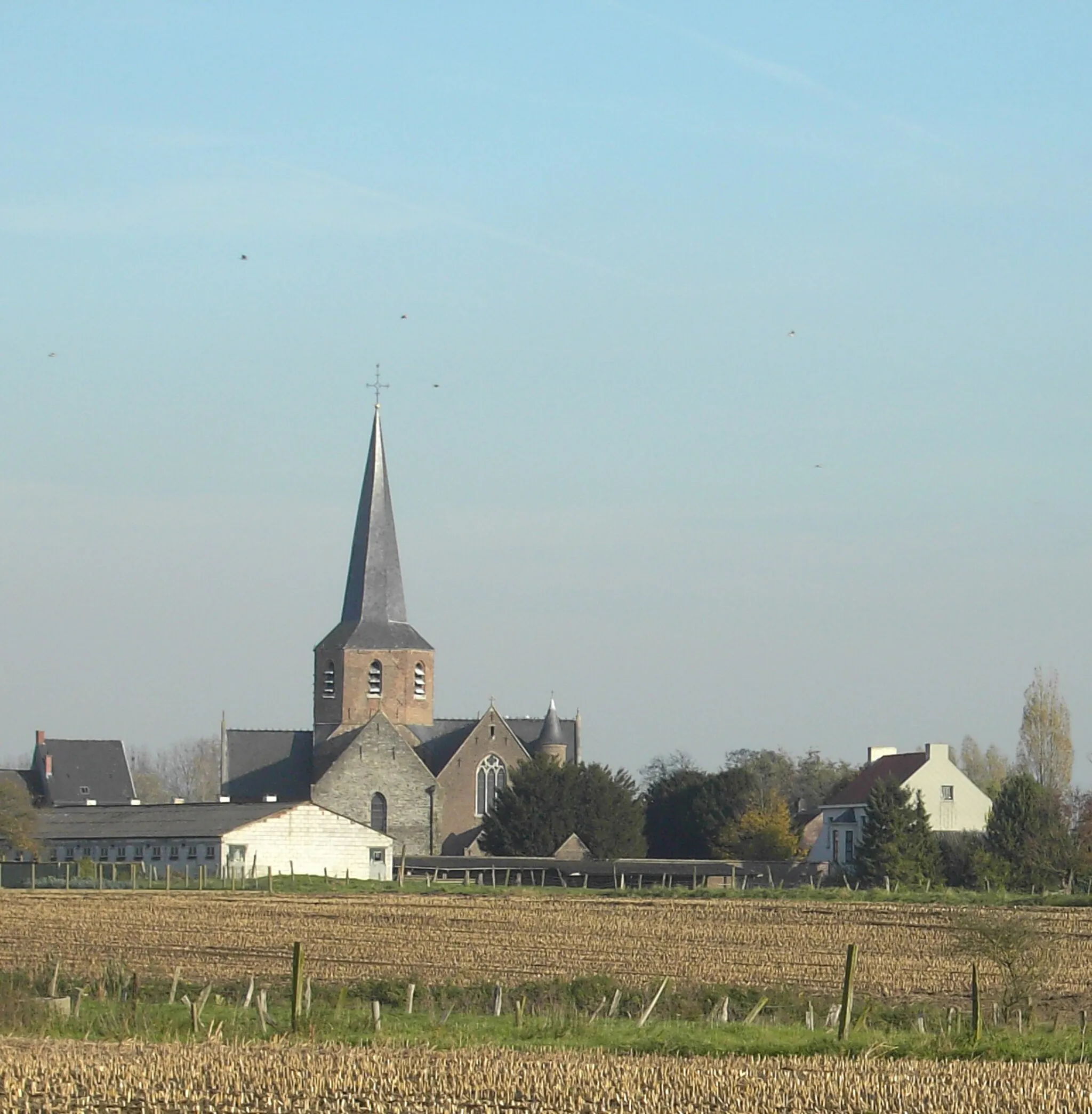 Photo showing: Baaigem - Gavere - Church