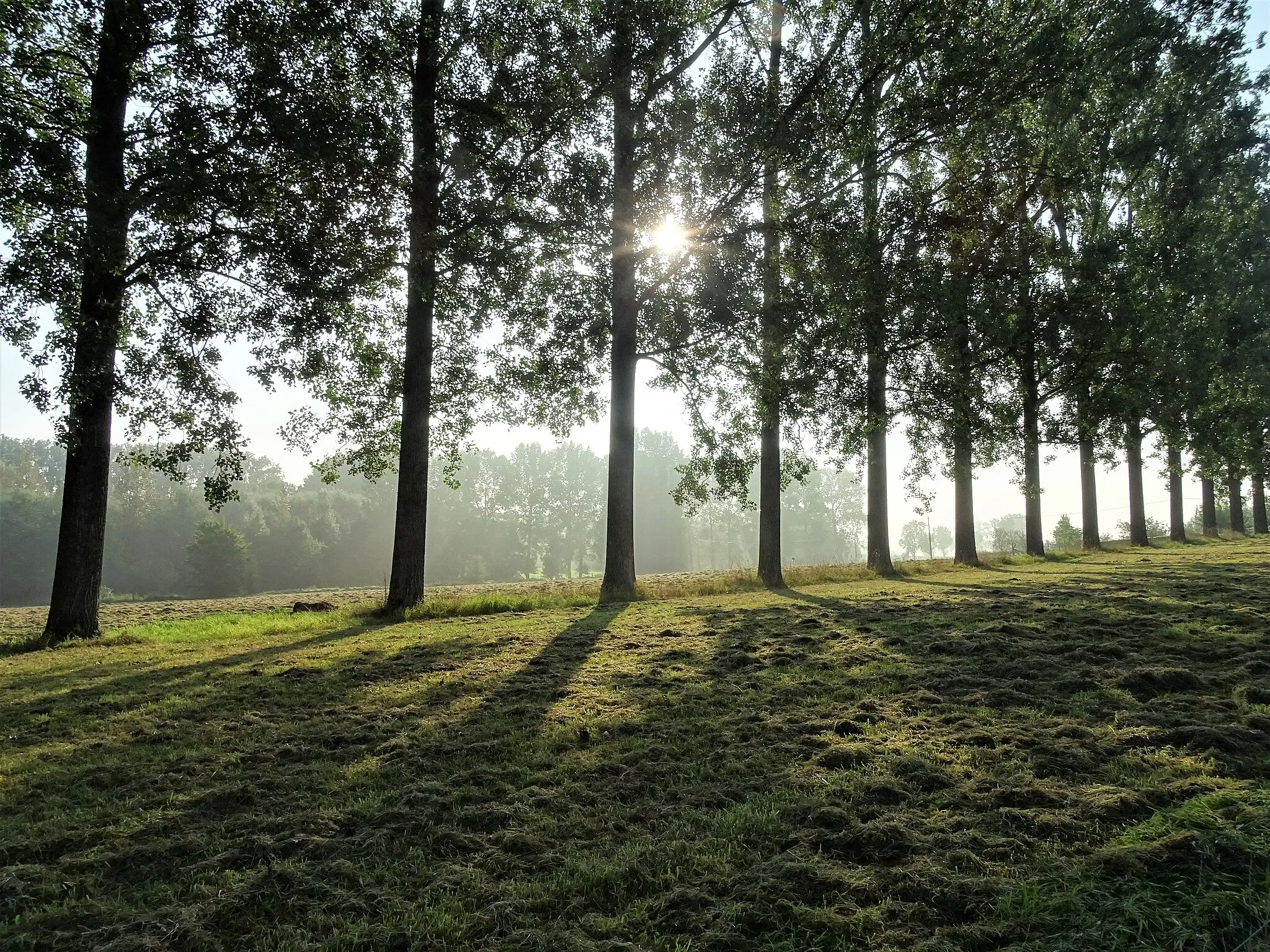 Photo showing: Ochtendgloren in OLV-Lombeek