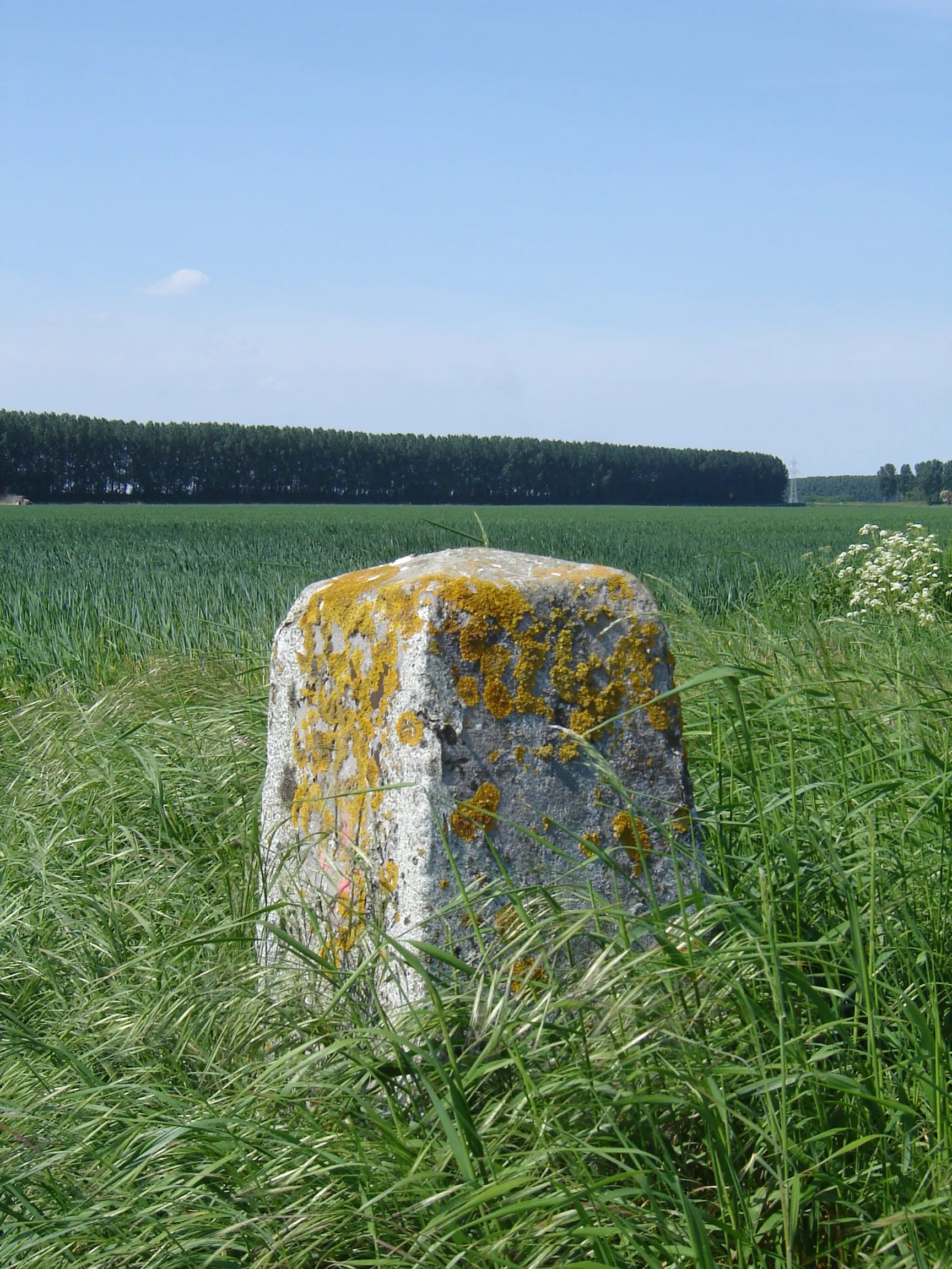 Photo showing: Border stone on the Belgian-Dutch border. Intermediate stone no. 314a, between Assenede, Belgium and Zandstraat, Netherlands.