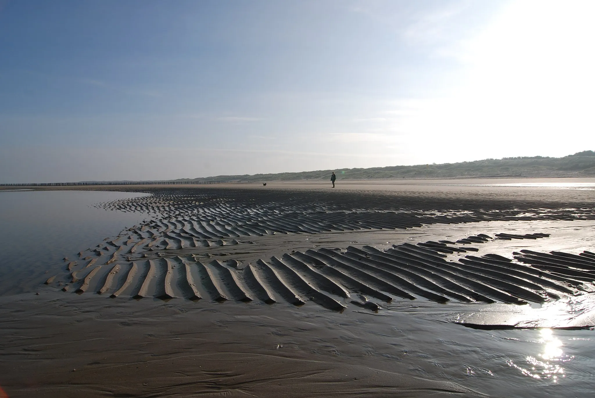 Photo showing: Strand  nabij Nieuwvliet, Zeeuws-Vlaanderen