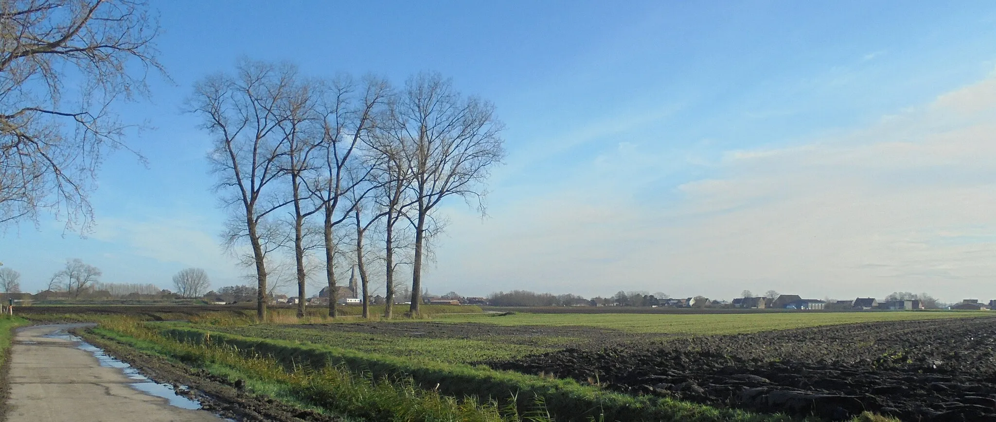 Photo showing: Zicht op Sint-Margriet (Sint-Laureins) met de Sint-Margaretakerk - foto genomen van uit de Sint-Margrietepolder - Oost-Vlaanderen in België.