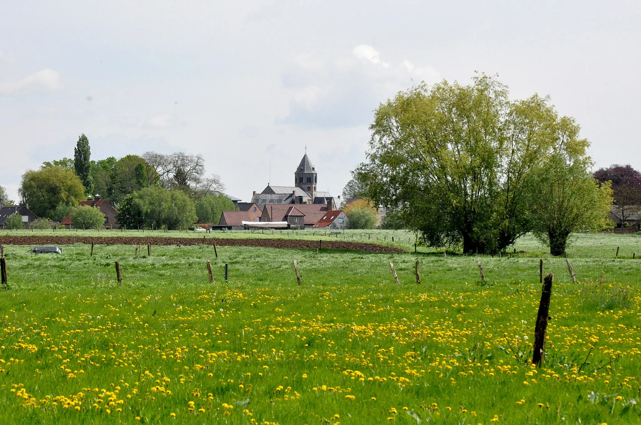Photo showing: kerk van Lotenhulle, gezien vanuit de omliggende velden