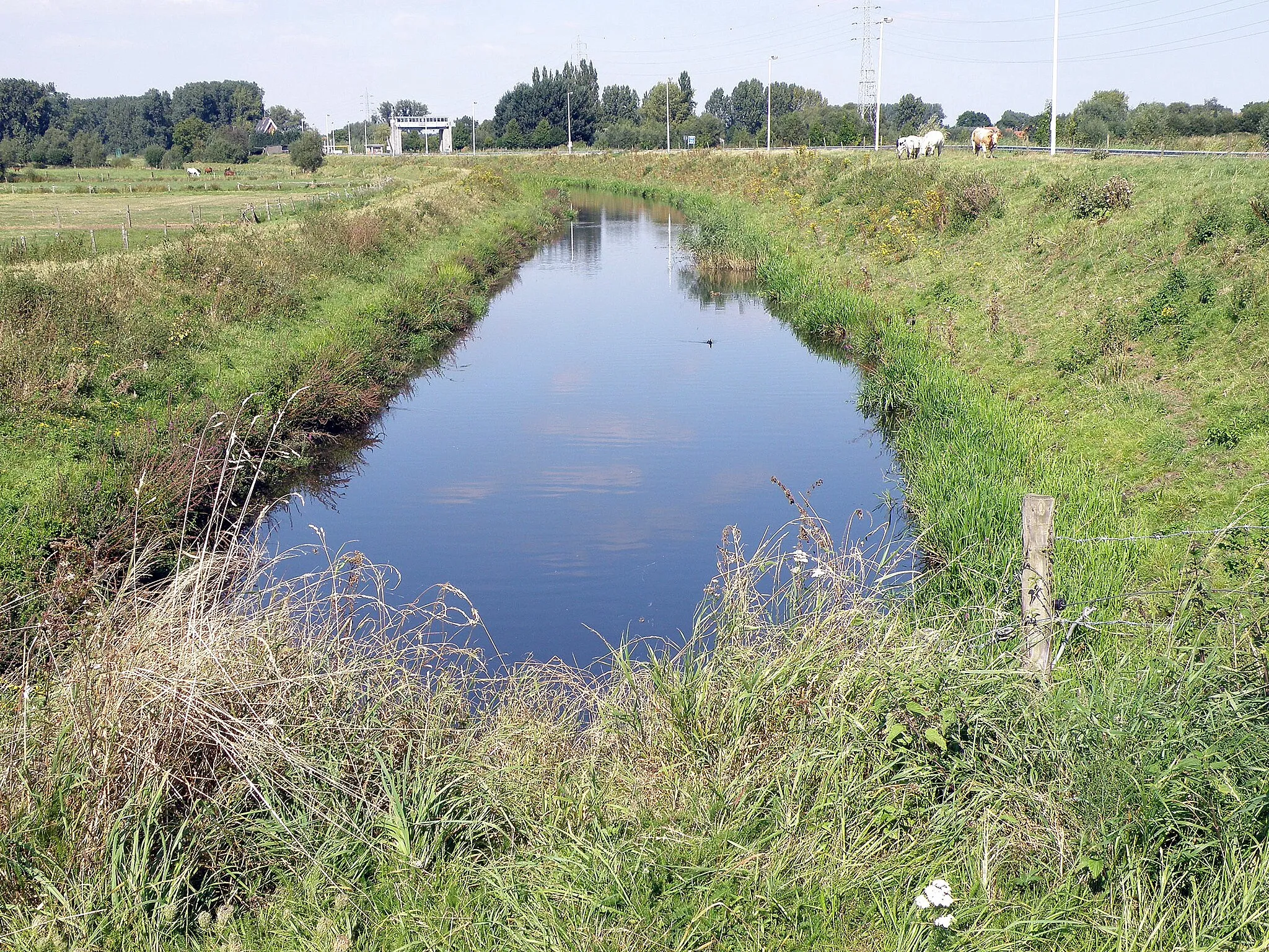 Photo showing: Mespelare, deelgem. van Dendermonde (Oost-Vlaanderen). Landschap langs de gekanaliseerde Dender (rechts gelegen achter dijk, niet zichtbaar op foto). Bemerk sluis van Denderbelle op achtergrond midden links. Blik noordwaarts gericht.