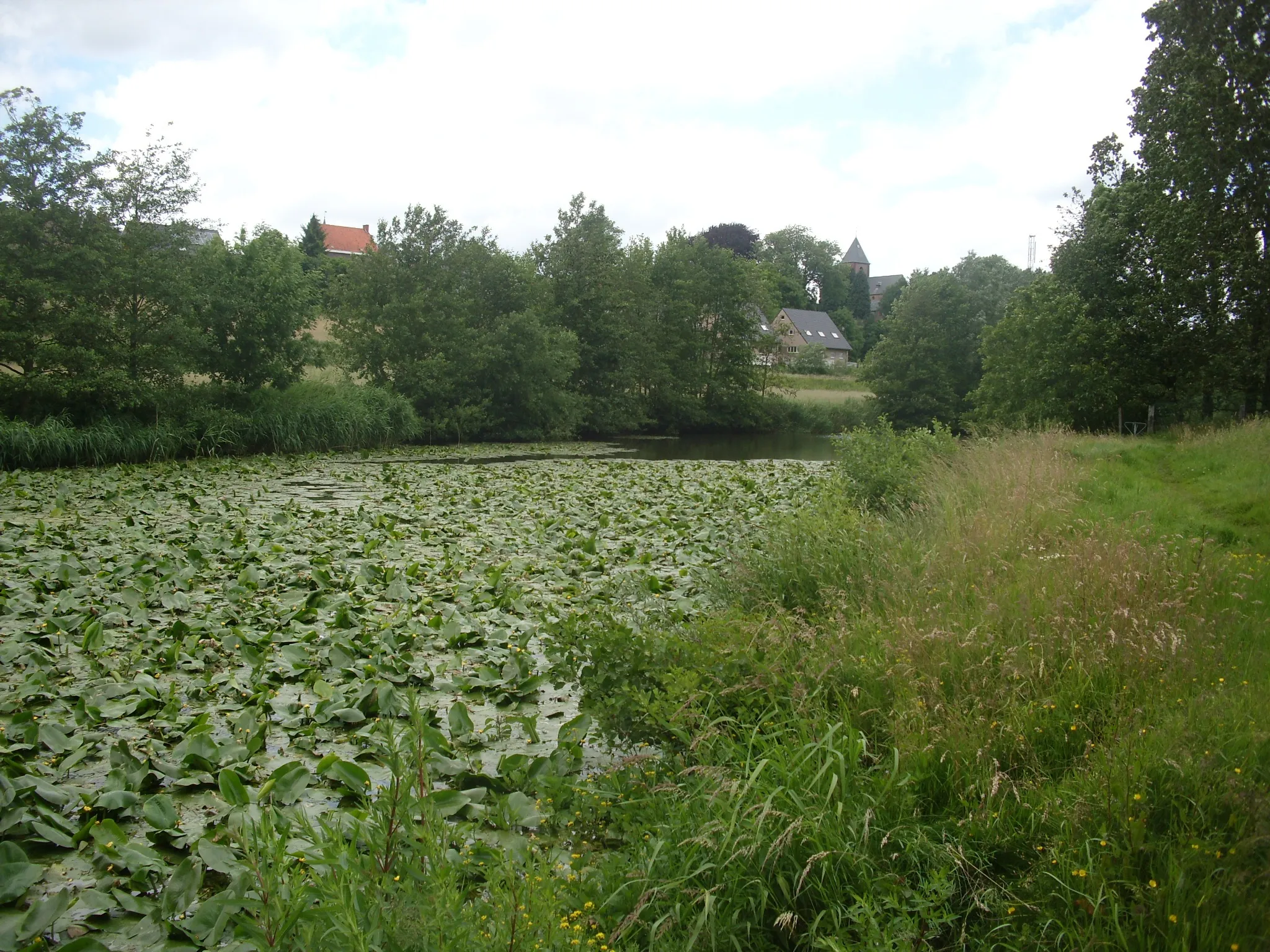 Photo showing: De oude Schelde - Heurne - Oudenaarde - Oost-Vlaanderen - België