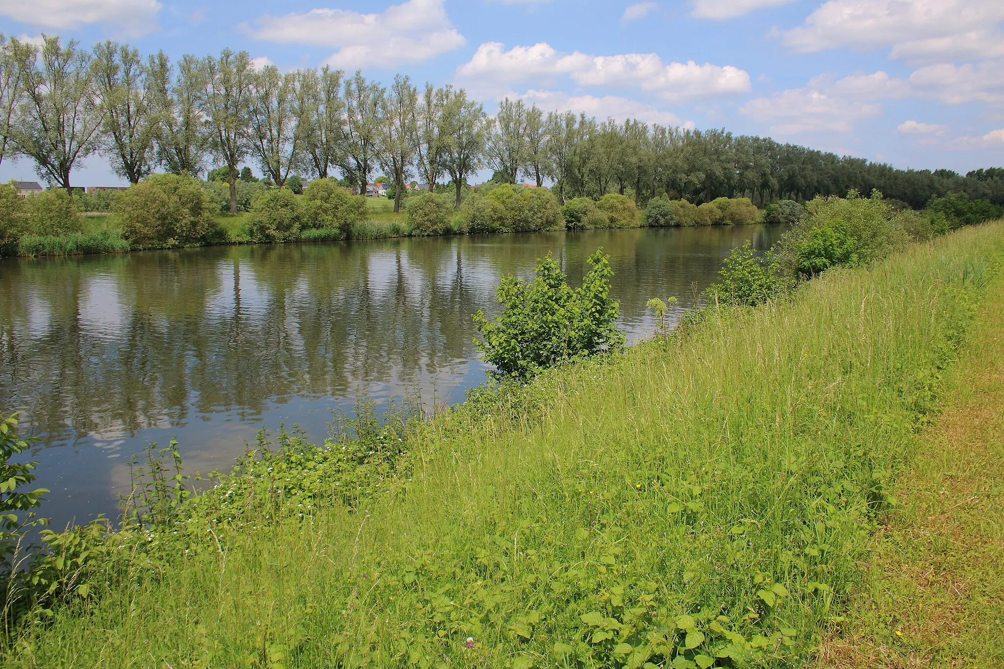 Photo showing: Schelde, Heurnemeersen, Oudenaarde, Vlaanderen, België