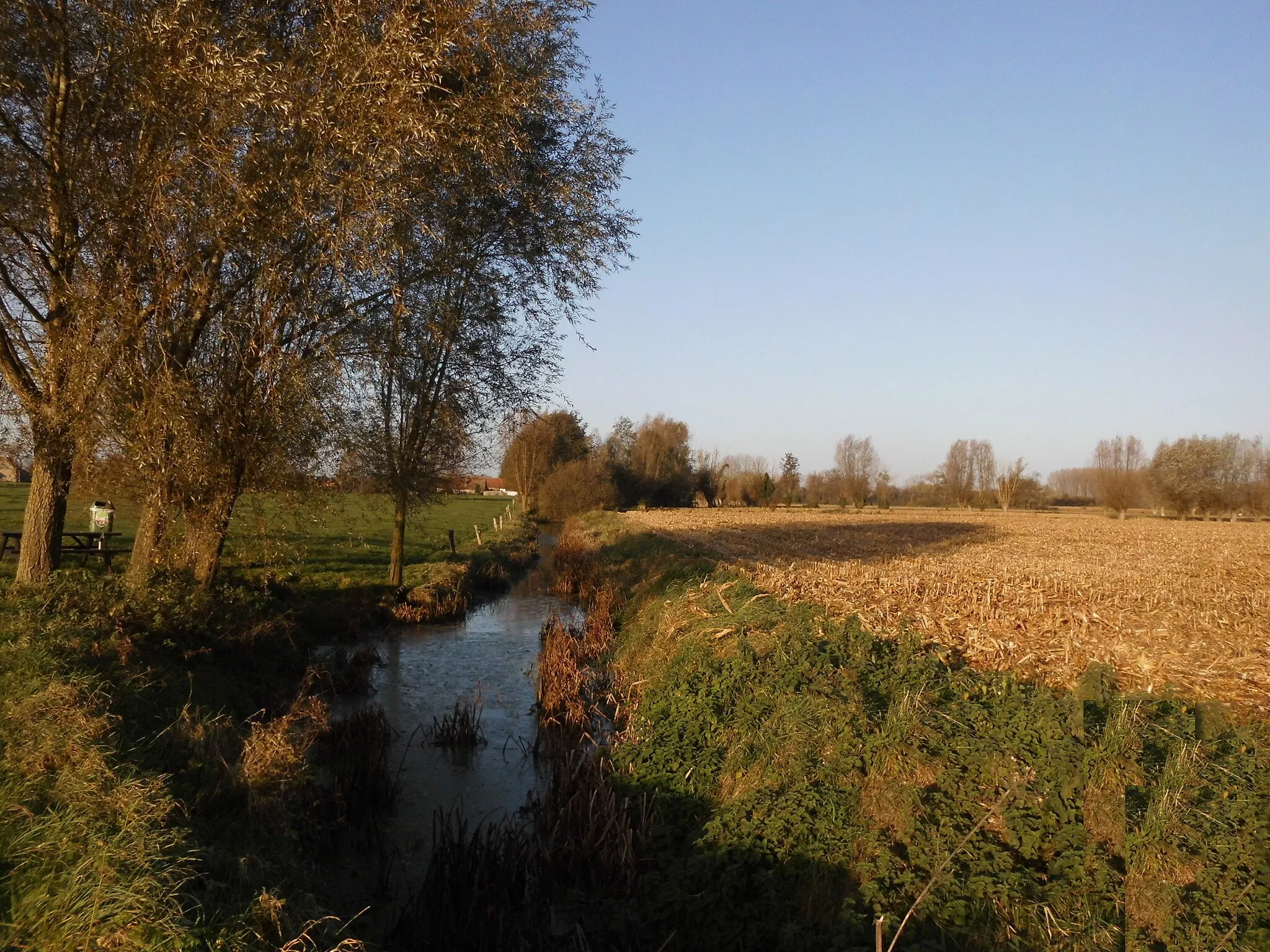 Photo showing: Stukje natuur in de vallei van de Oude Kale - tussen de Ooststraat en de N461 (hier tussen Drongen en Merendree) - Merendree - Nevele - Oost-Vlaanderen - België