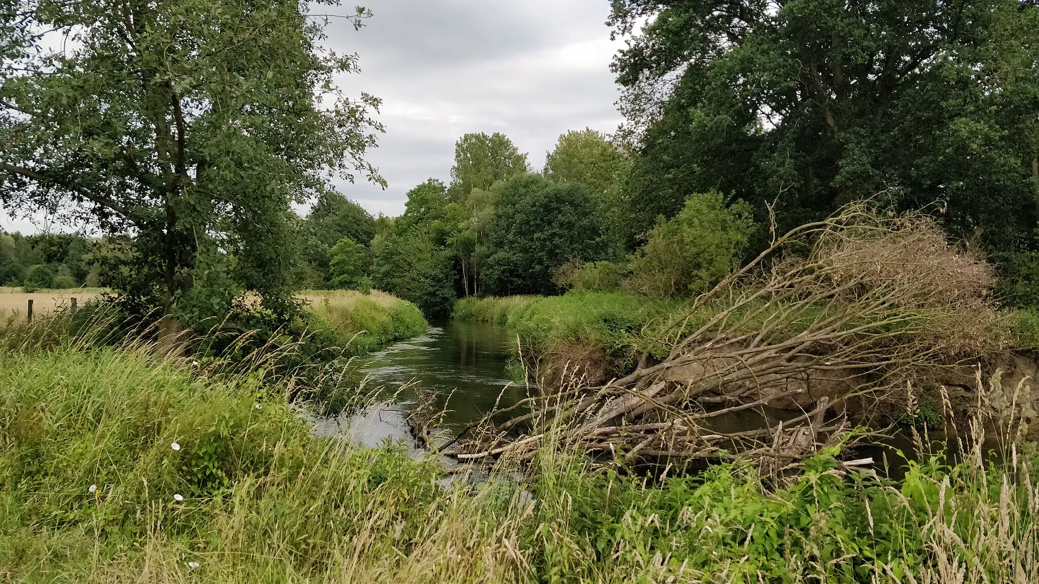 Photo showing: Doode Bemde, Juni 2018