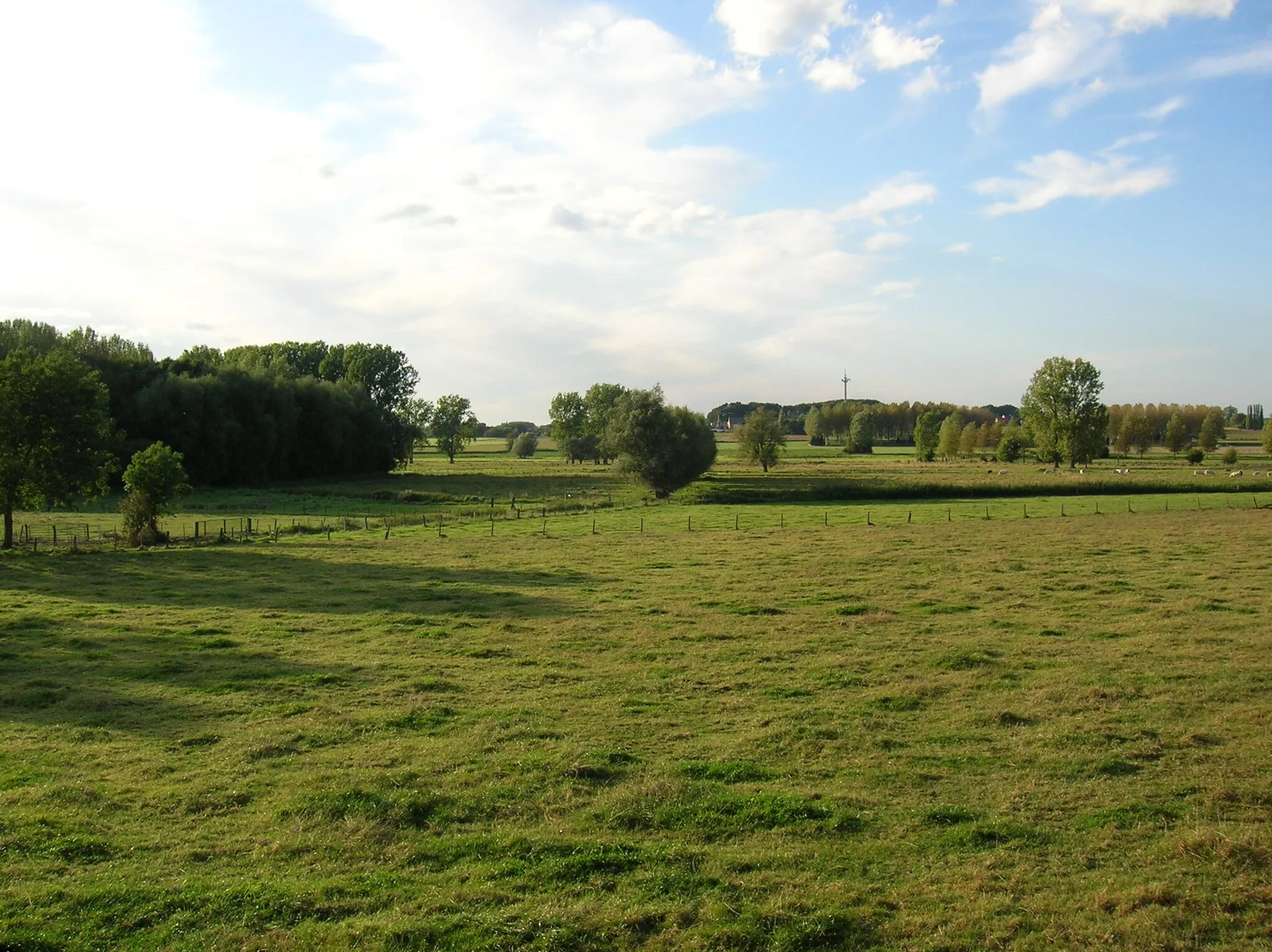 Photo showing: Valley of the little river Velp at Bunsbeek, Belgium.