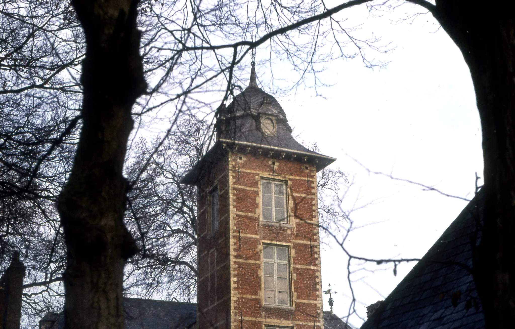 Photo showing: The tower of the castle