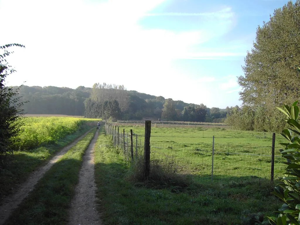 Photo showing: Linden - Zicht op Pellenberg vanaf Wolvenpad