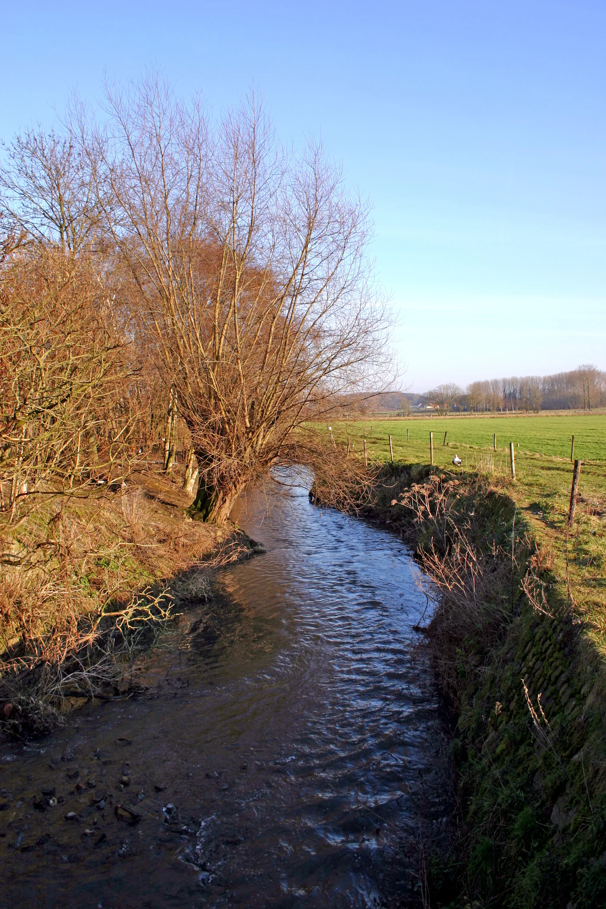 Photo showing: The river the Velp in Vissenaken (Tienen, The Flanders, Belgium)