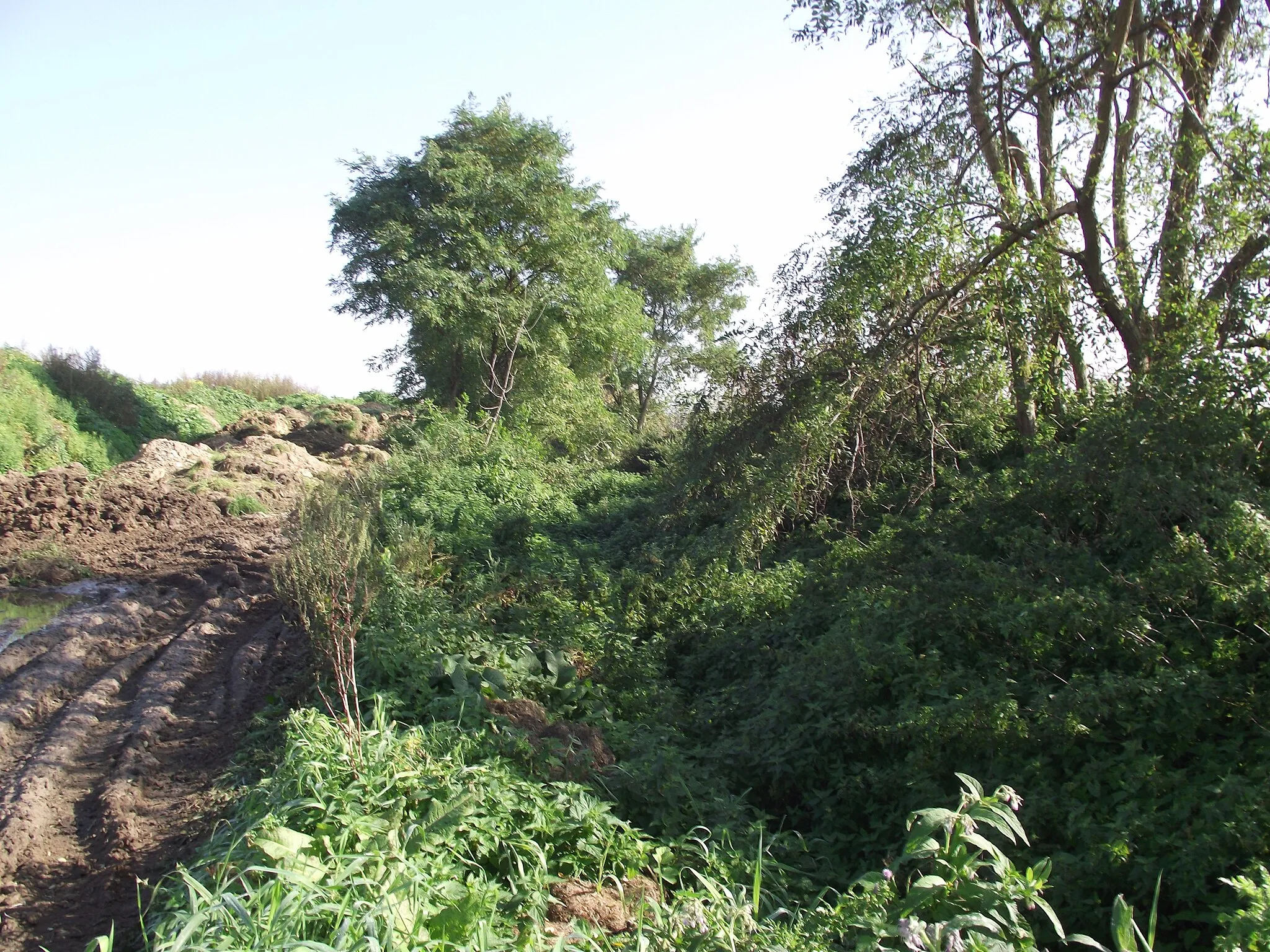 Photo showing: Ex vicinal railway route in the direction of Oorbeek. It is used as a dump