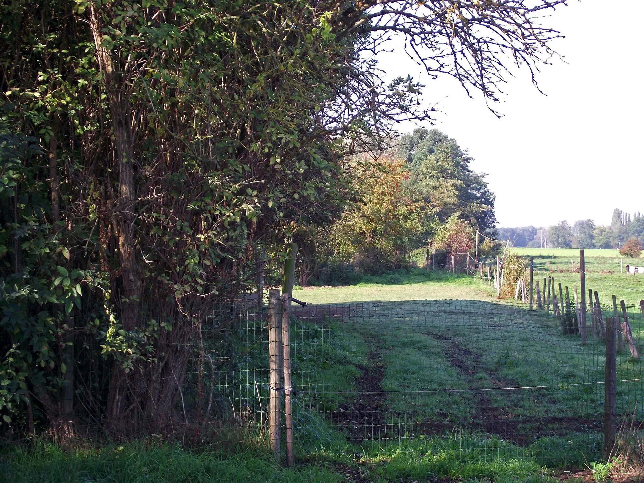 Photo showing: Buurtspoorweg tracé richting Bevekom bij Oorbeek. Langs de rand van de velden.