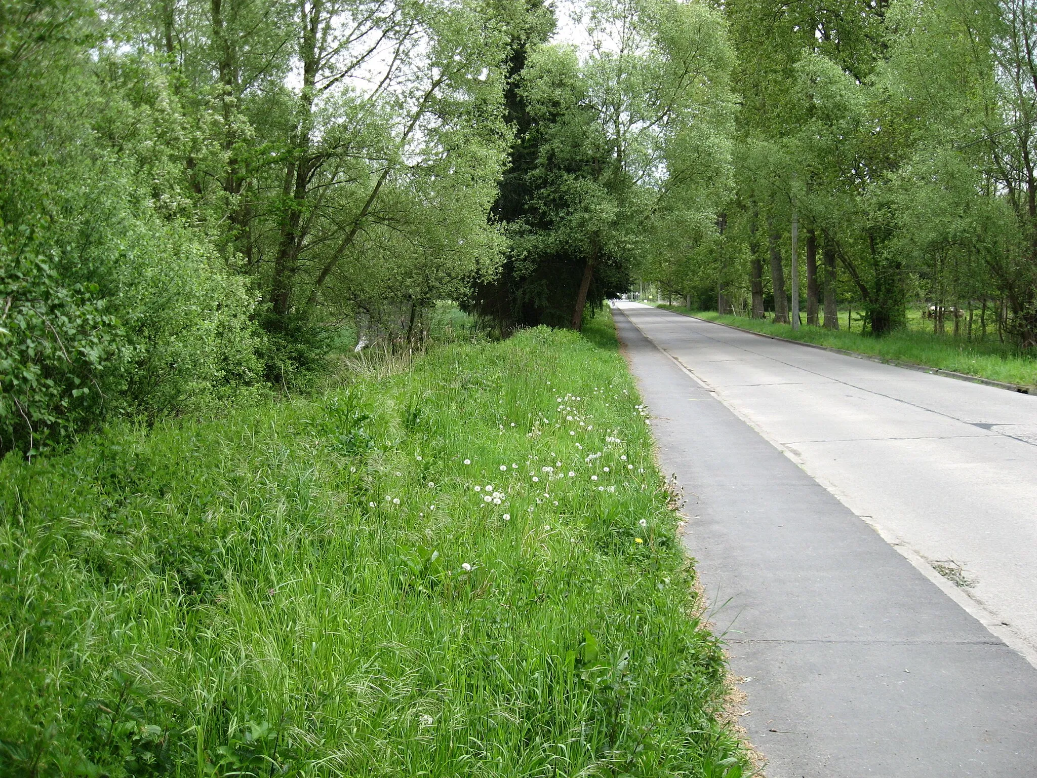 Photo showing: The old vicinal railway trackbed on the road between Sint-Joris-Weert and Nethen.