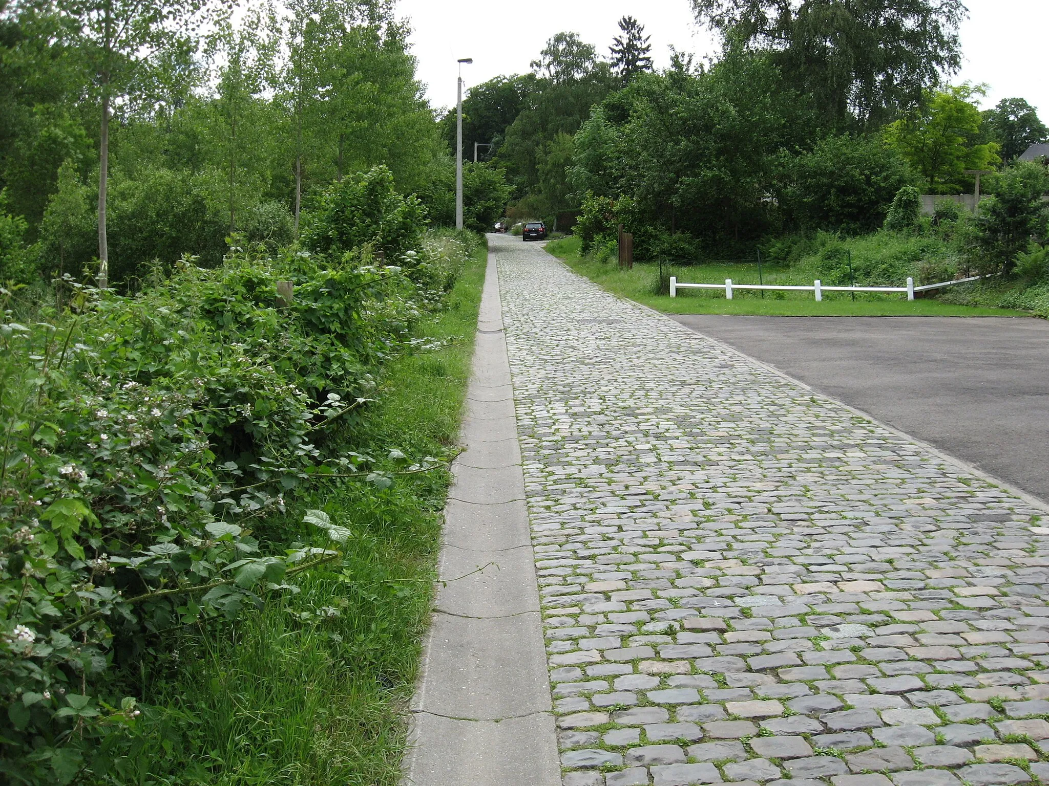 Photo showing: Vroegere trambaan, nu omgebouwd tot kasseiweg.