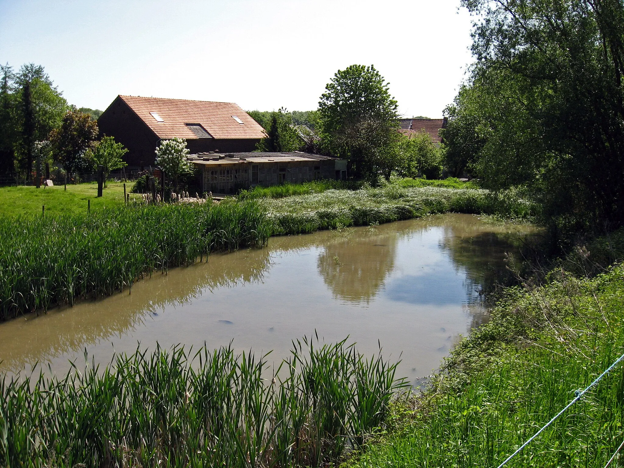 Photo showing: Het buurtspoorwegtracé is aan de overkant van het water. Het water is vermoedelijk een kweekvijver met grote vissen erin. Kikkers laten hun aanwezigheid horen.