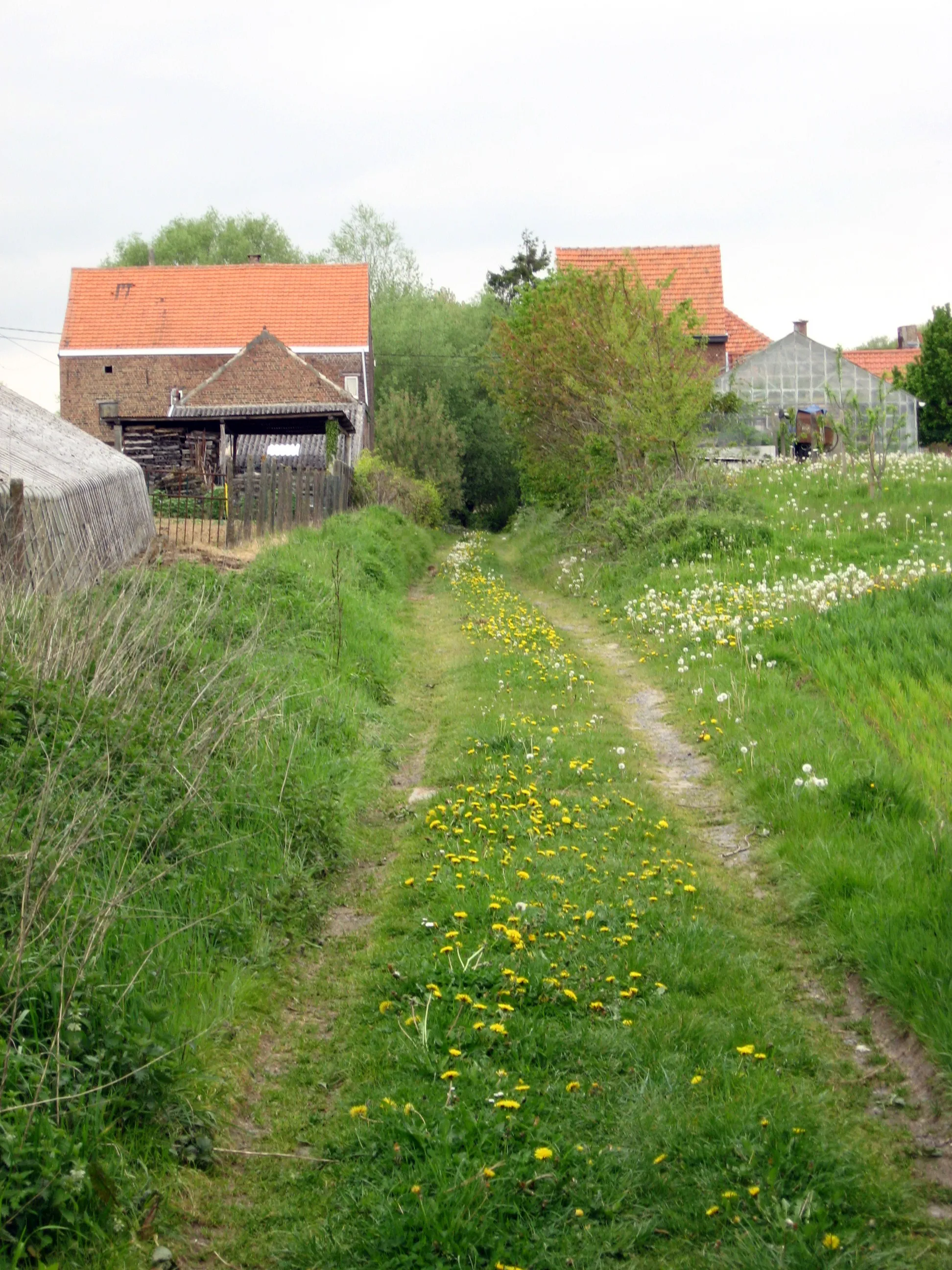 Photo showing: Hier klimt de buurtspoorweg naar de halte Loonbeek bij de kruising van de straat.