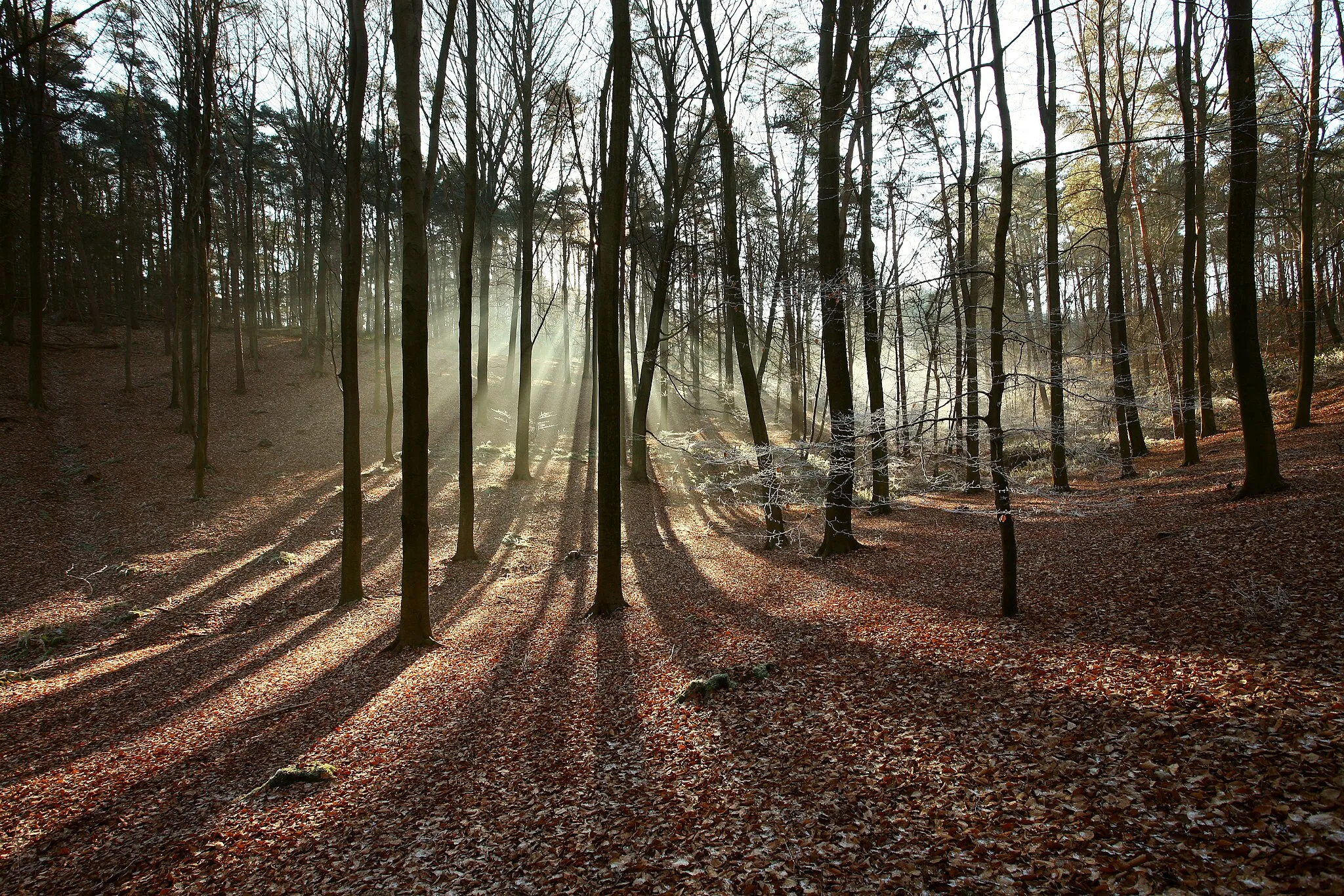 Photo showing: This is a photo of onroerend erfgoed number