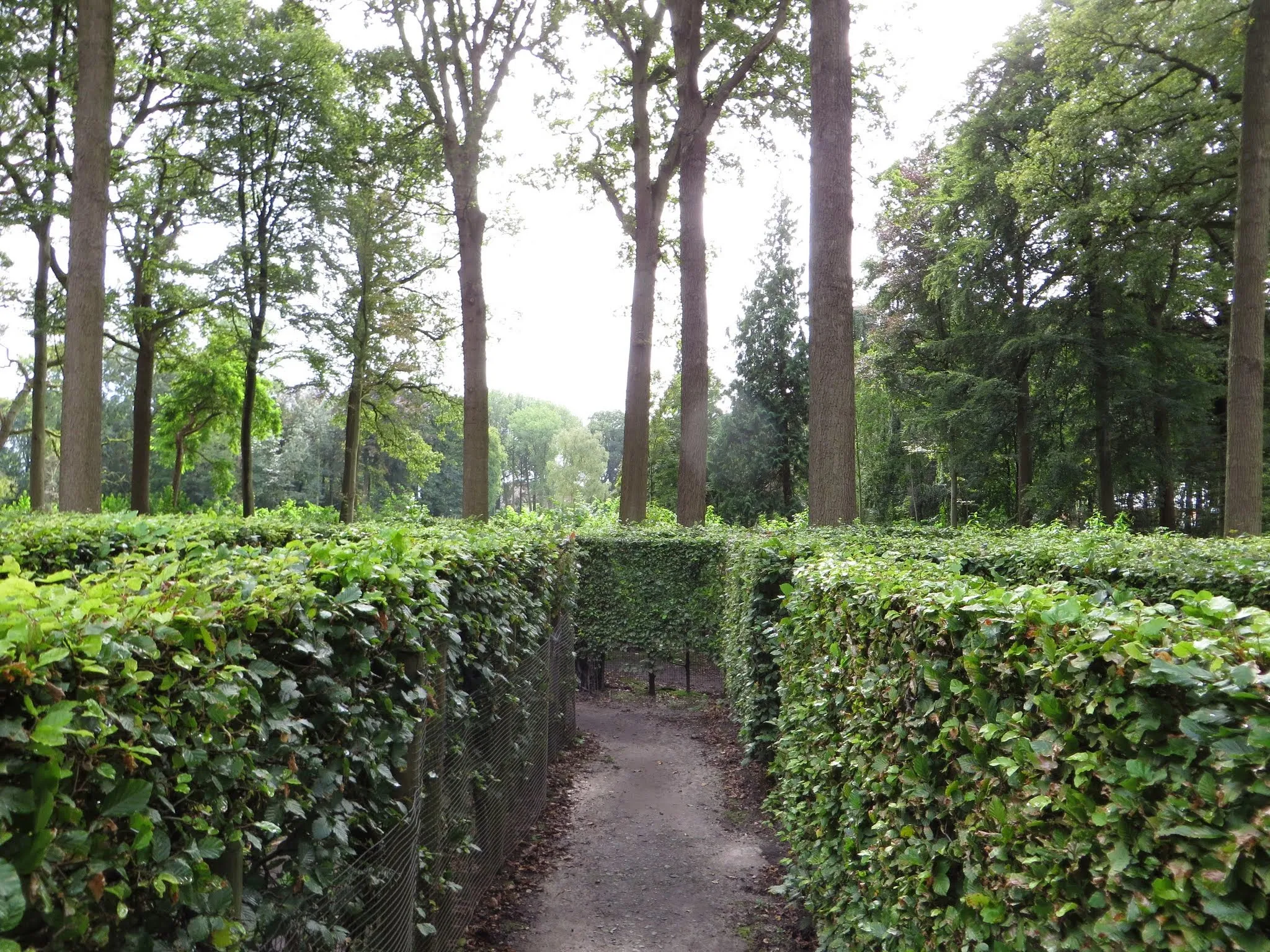 Photo showing: Doolhof bij Kasteel van Loppem