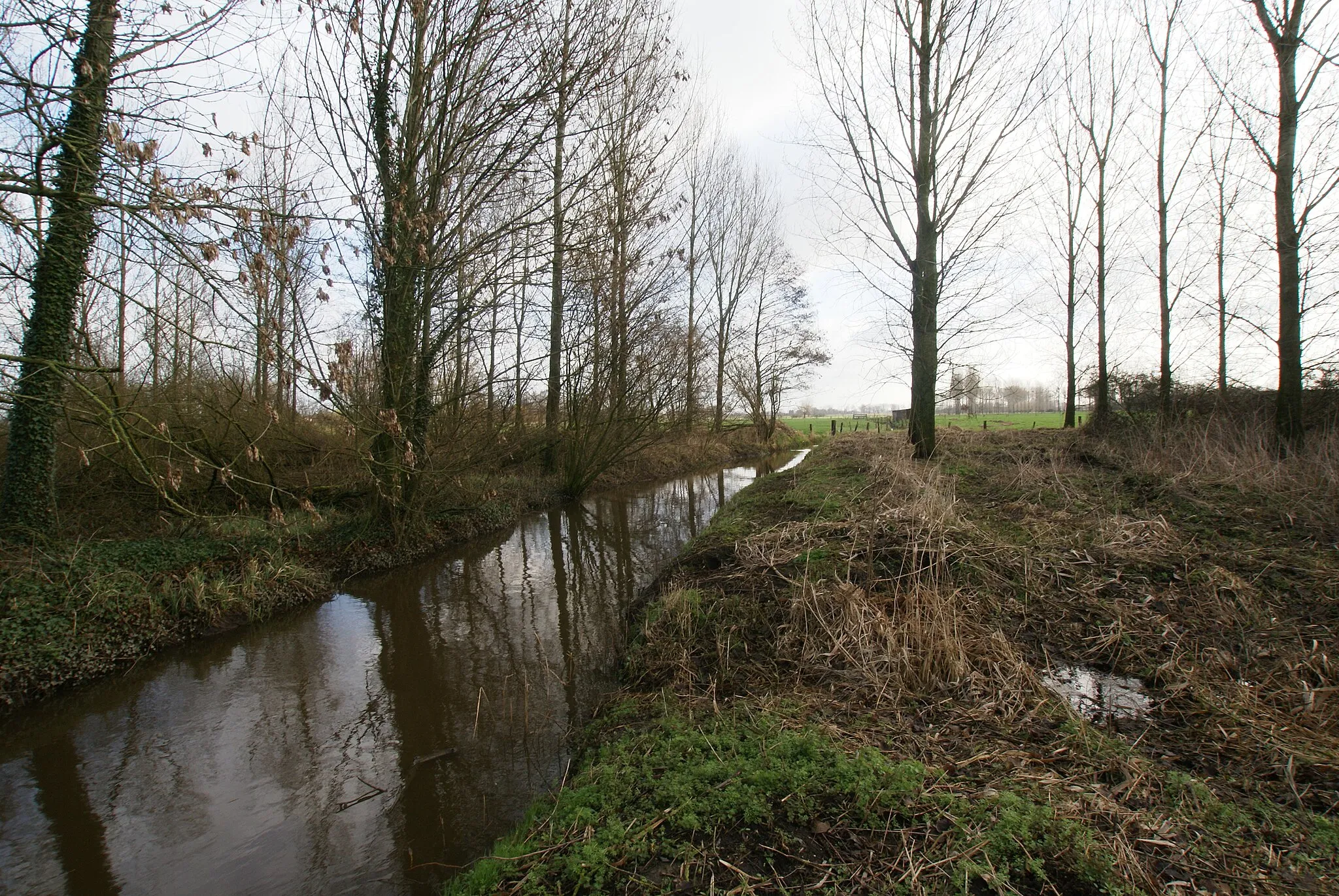 Photo showing: Beernem (Oedelem), Germany: The river Bergbeek at the Sijsele Straat in Western direction